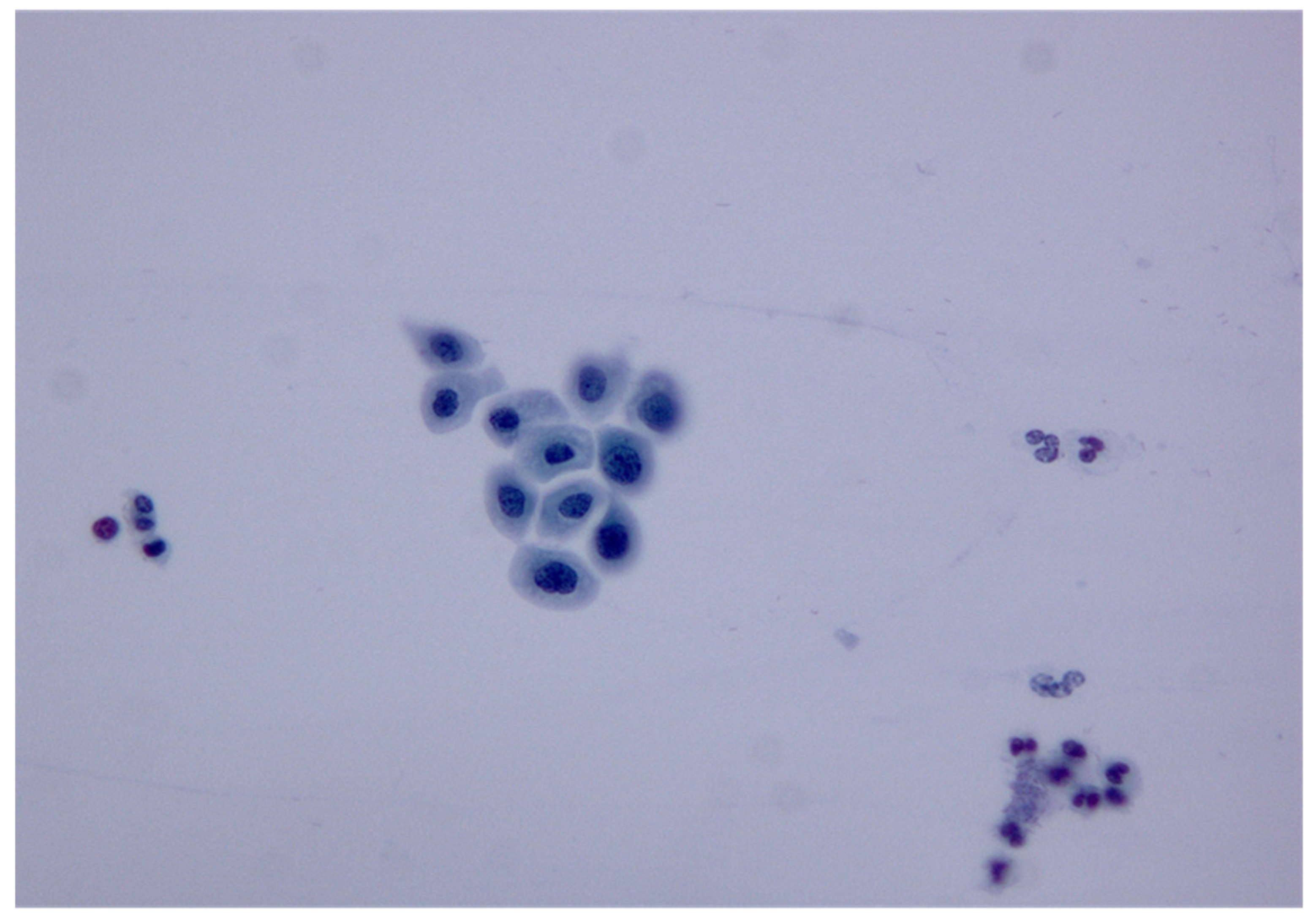 Medicina 58 00339 g001