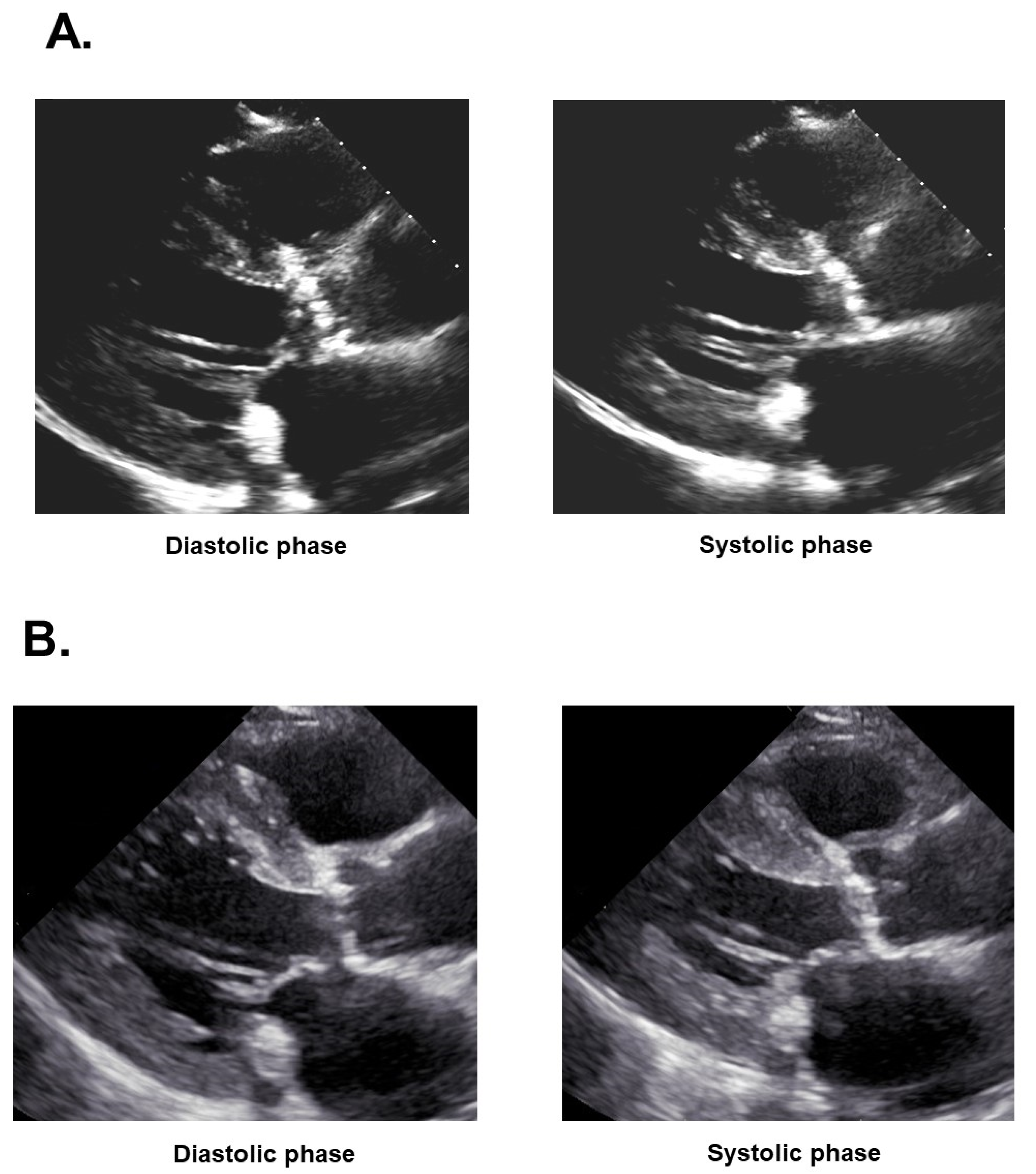 Medicina 58 00347 g002 Medicina 58 00347 g002