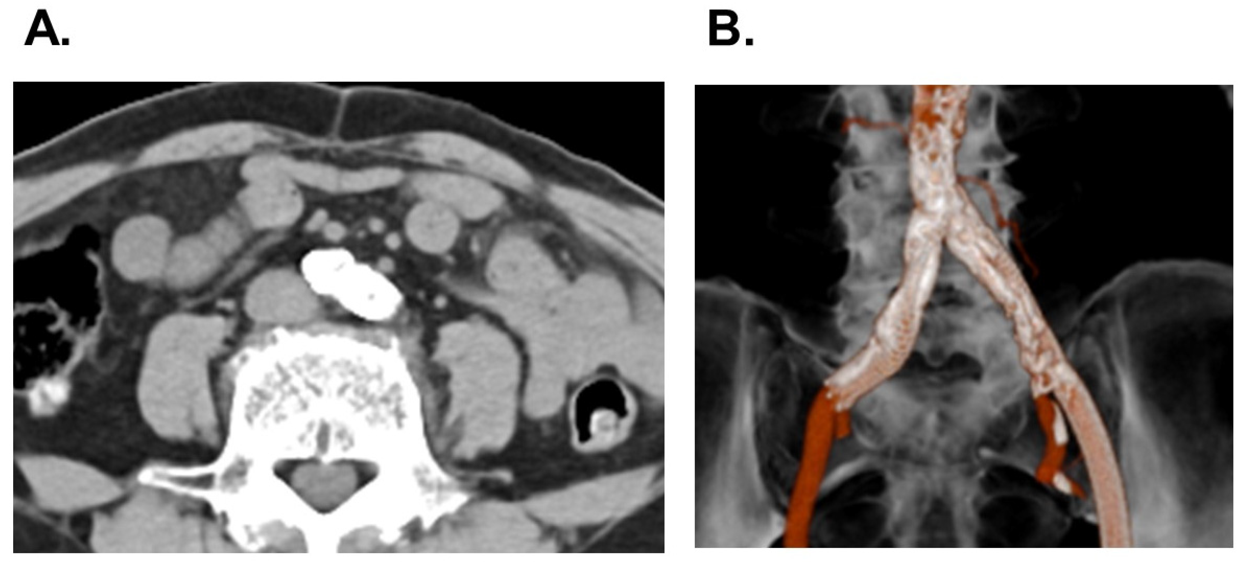 Medicina 58 00347 g003 Medicina 58 00347 g003