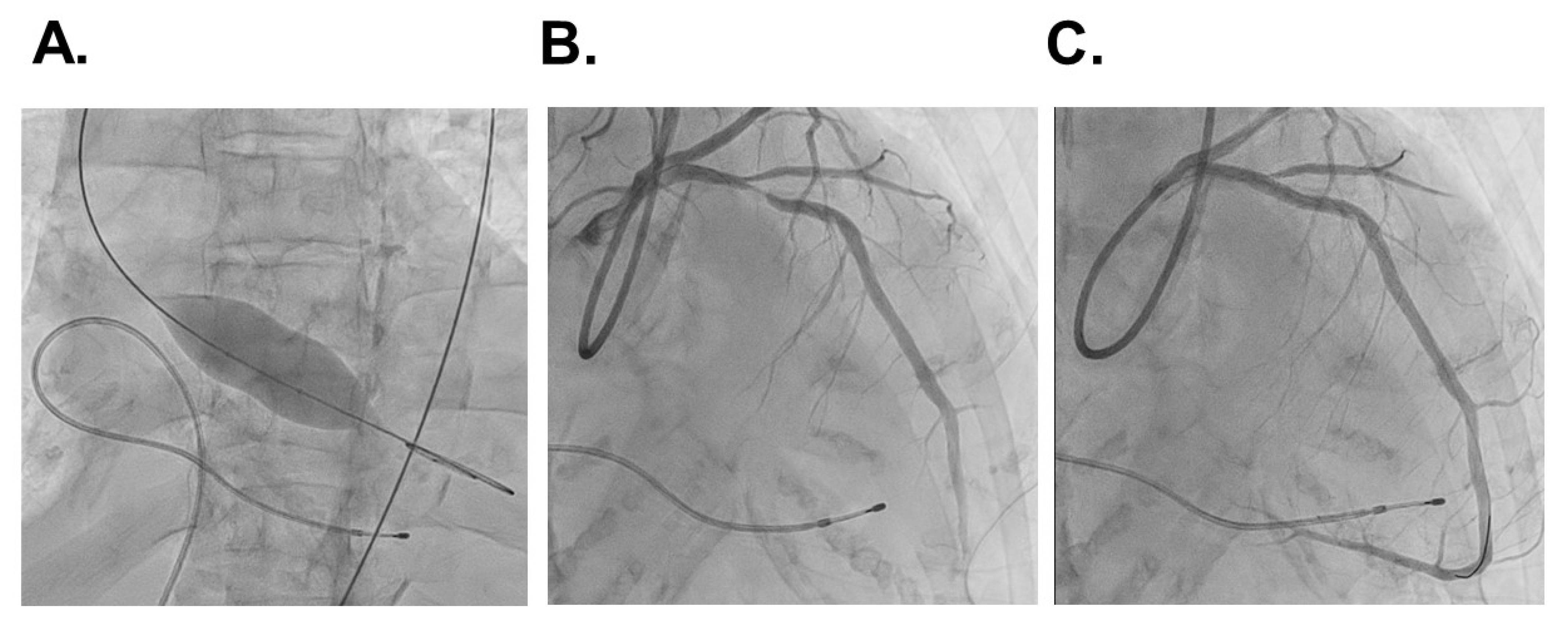 Medicina 58 00347 g004 Medicina 58 00347 g004