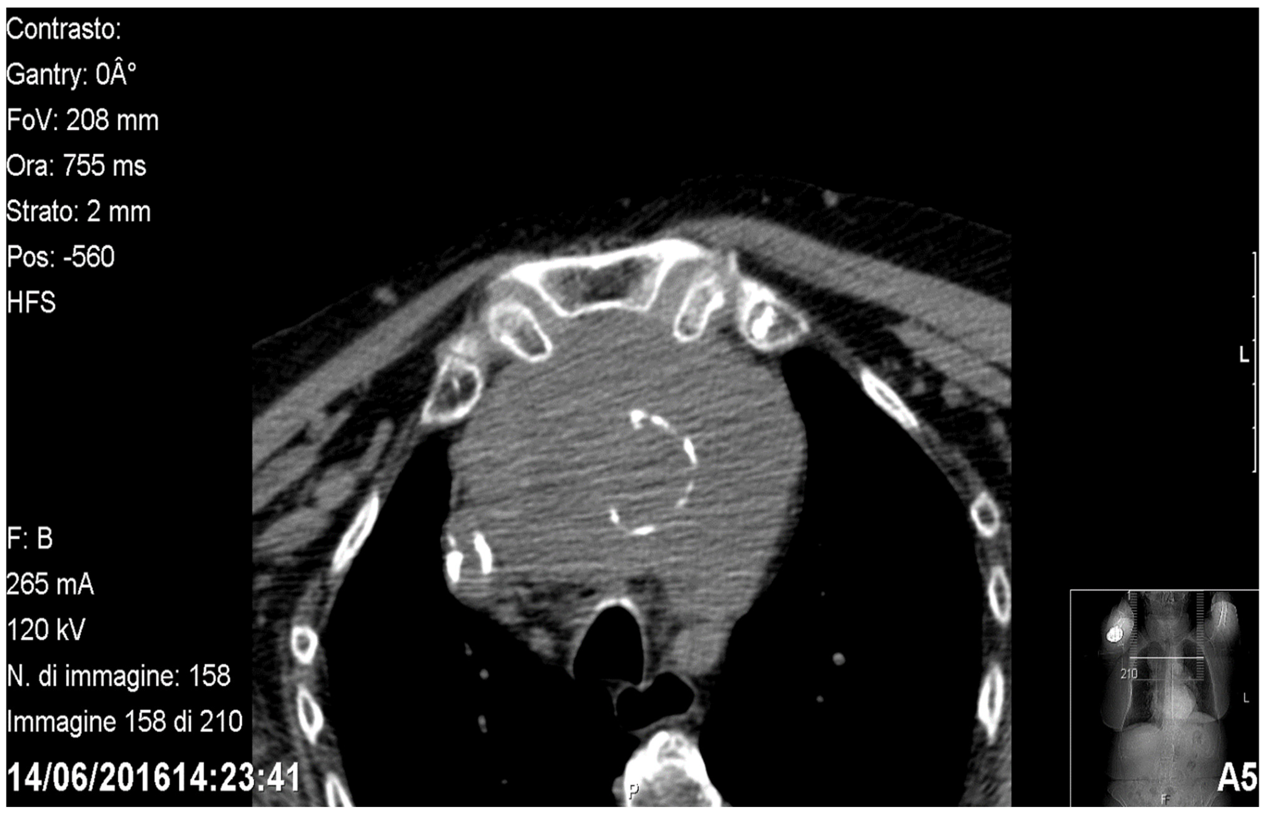 Medicina 58 00349 g001 550