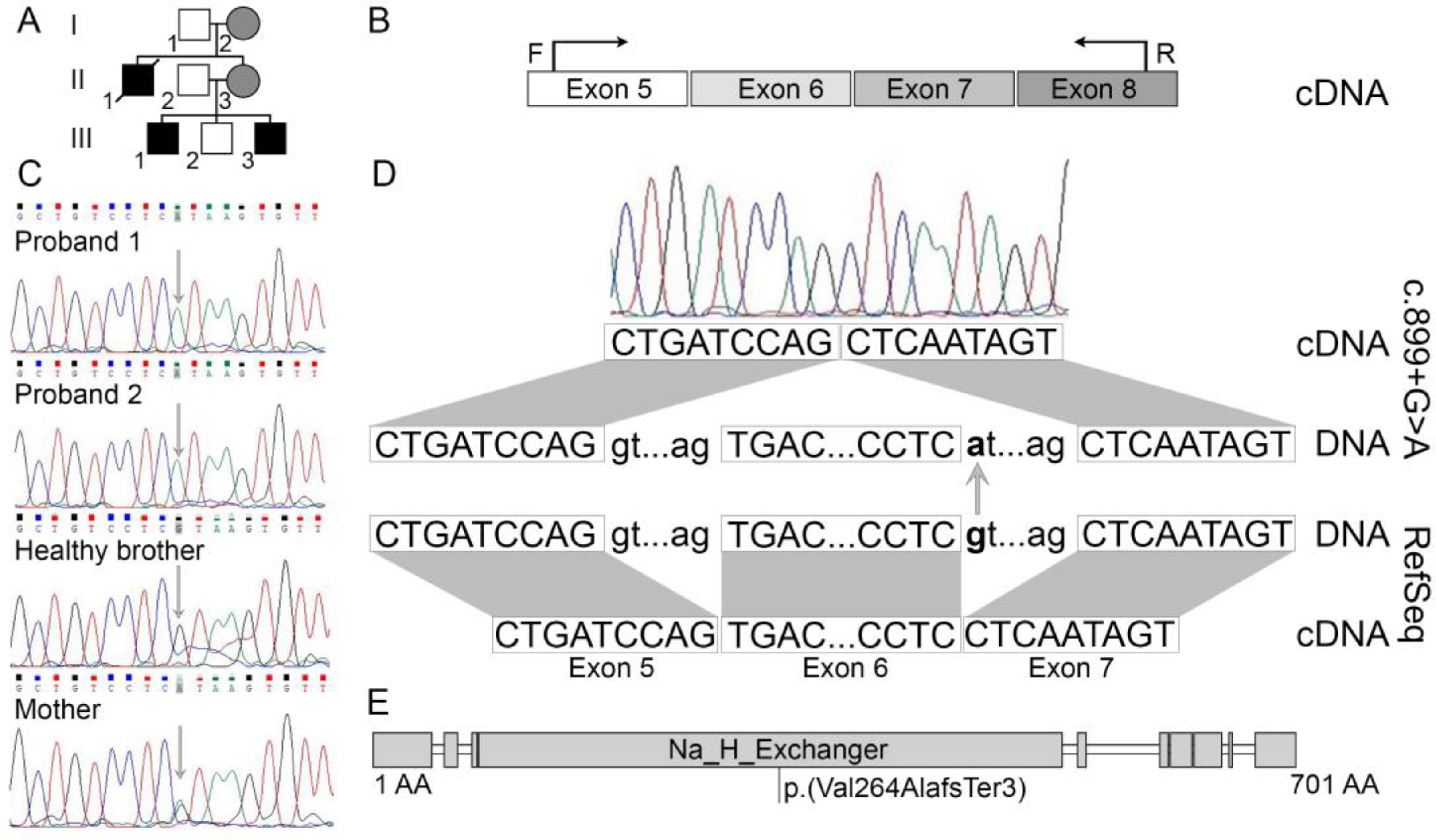 Medicina 58 00351 g001 550
