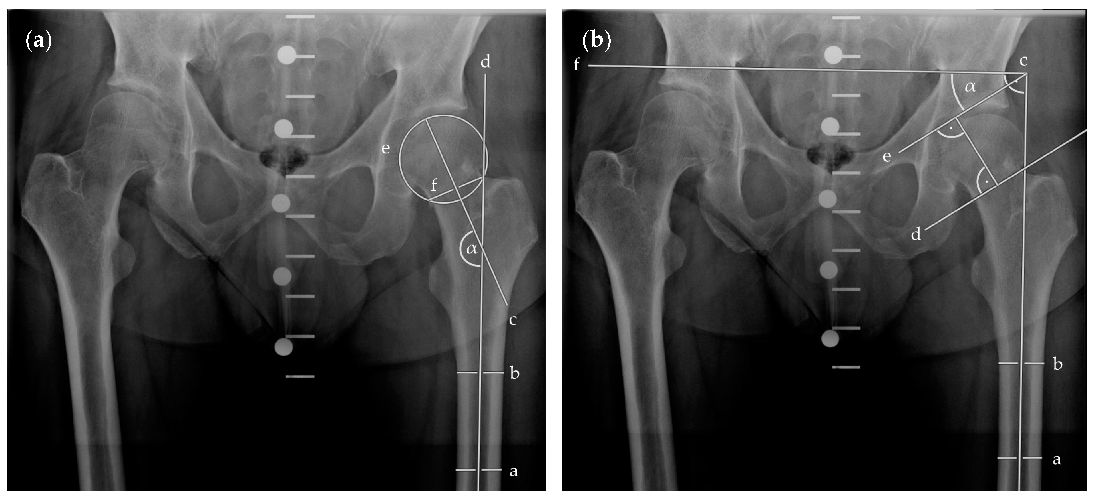 Medicina 58 00352 g003