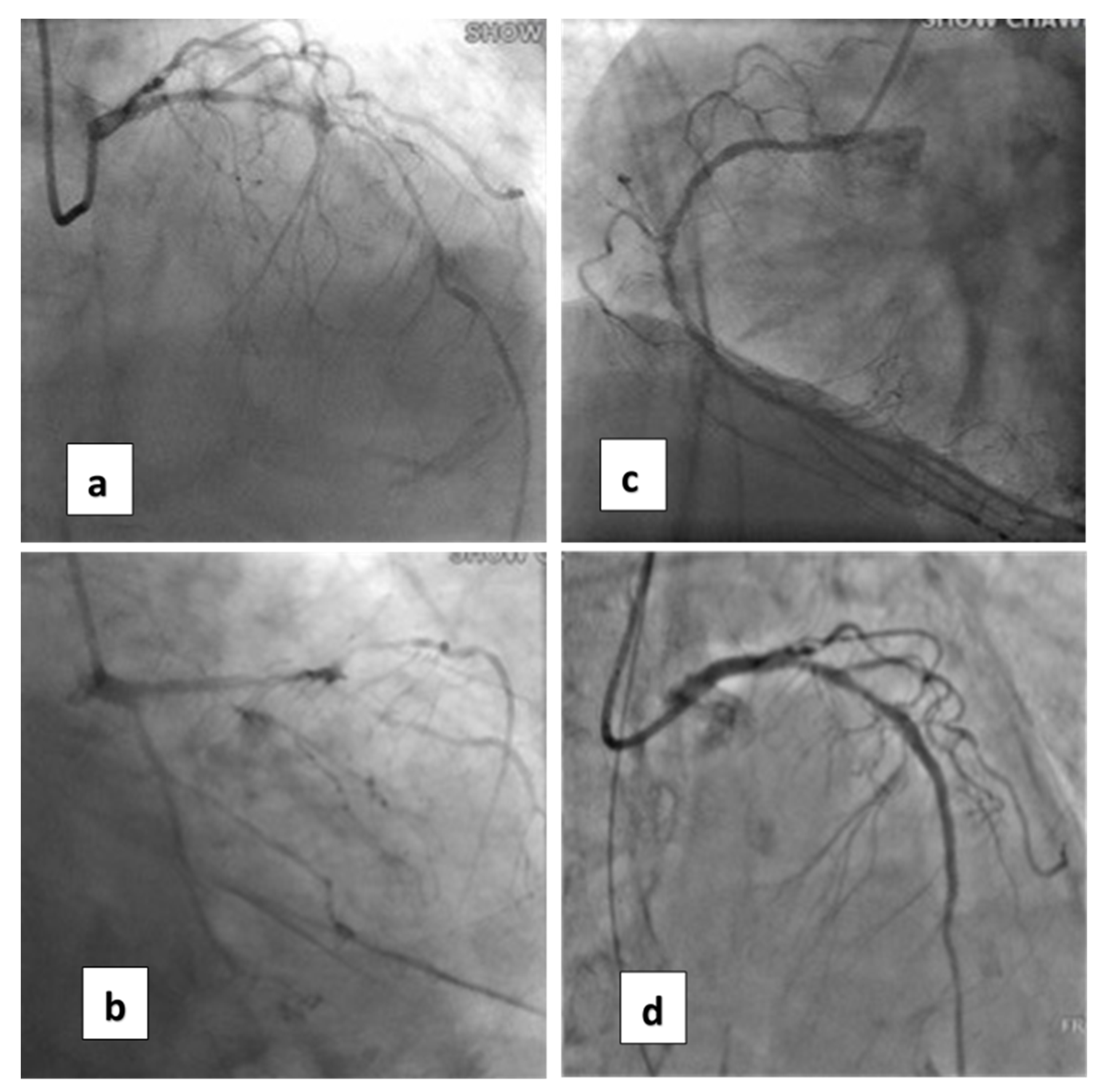 Medicina 58 00356 g001