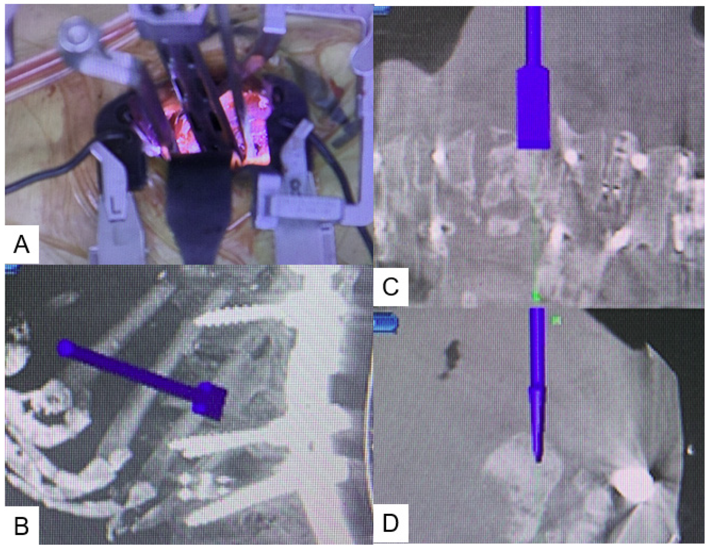 Medicina 58 00364 g001 550