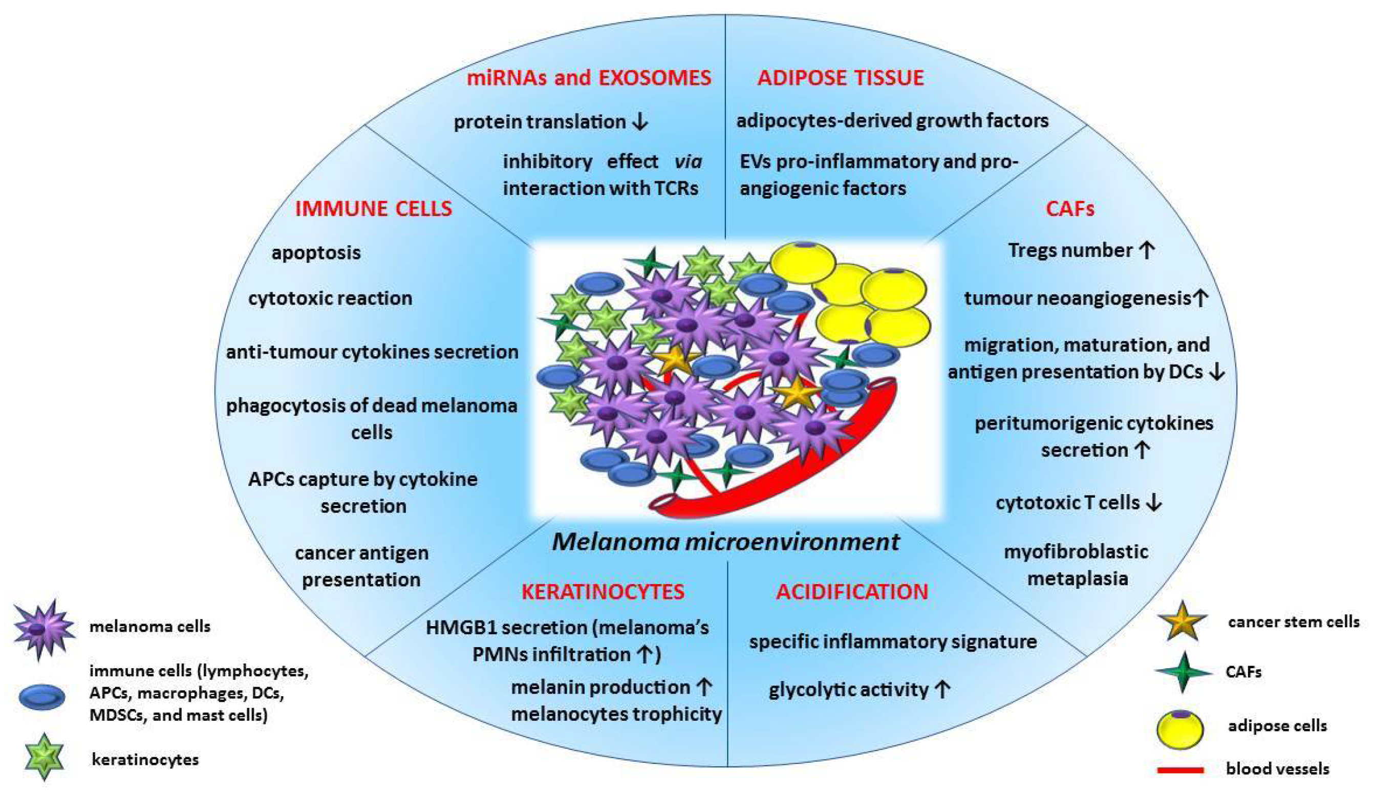 Medicina 58 00365 g001