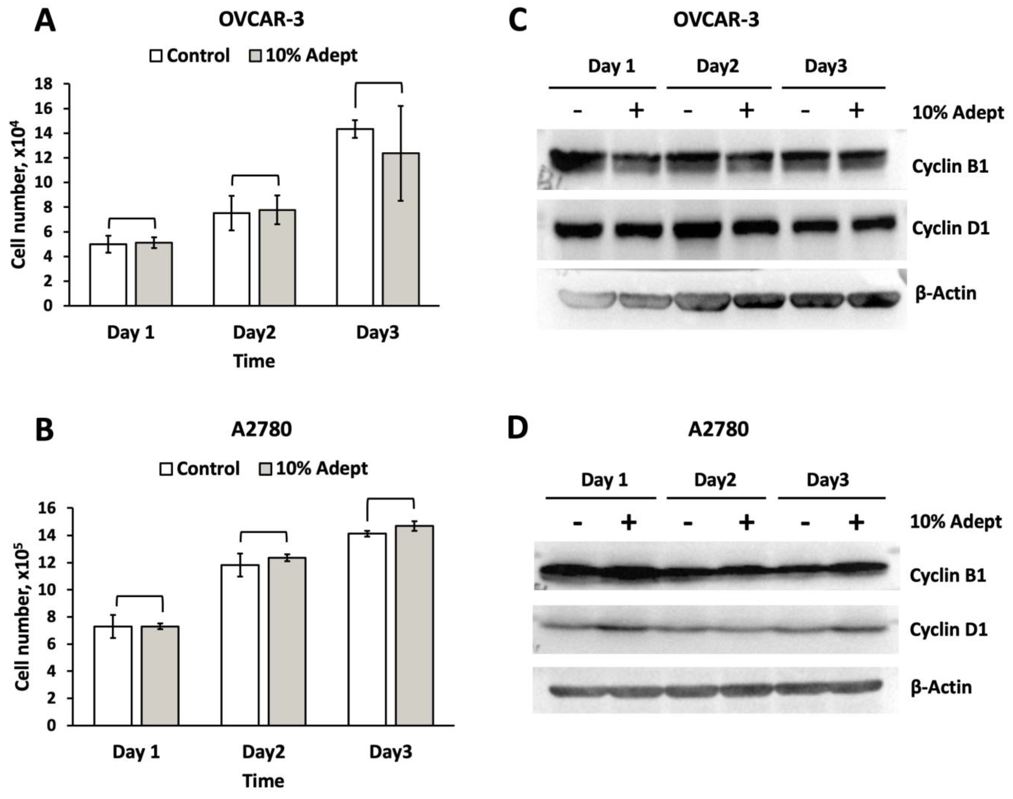 Medicina 58 00386 g002 550