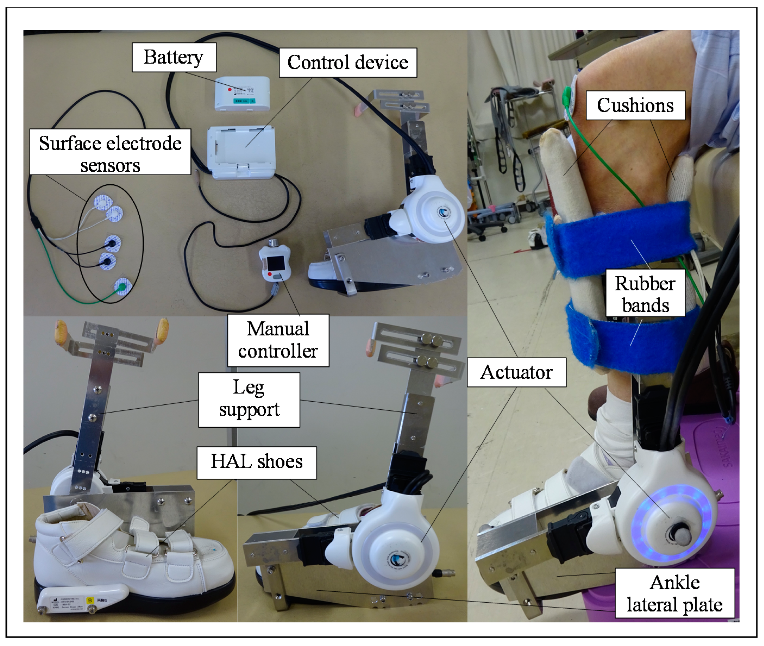 Medicina 58 00395 g001