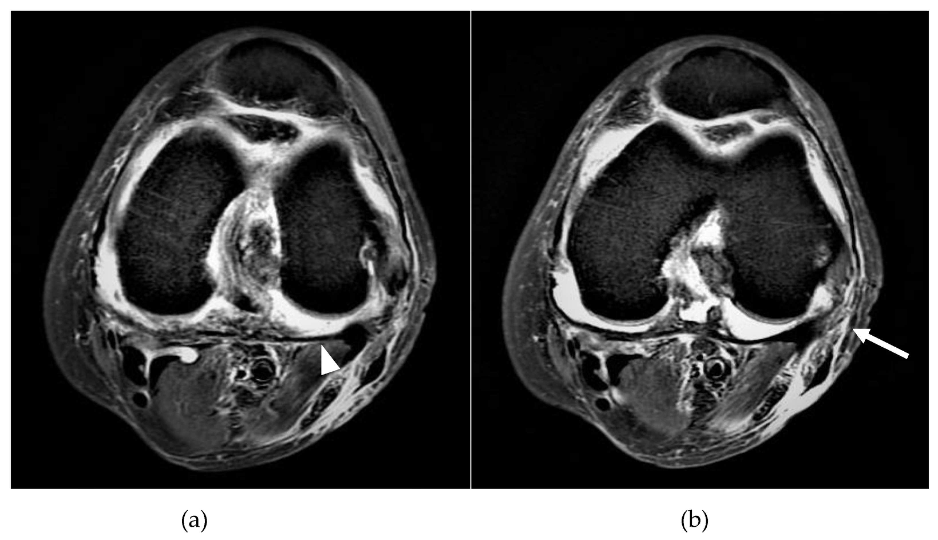 Medicina 58 00401 g001 550