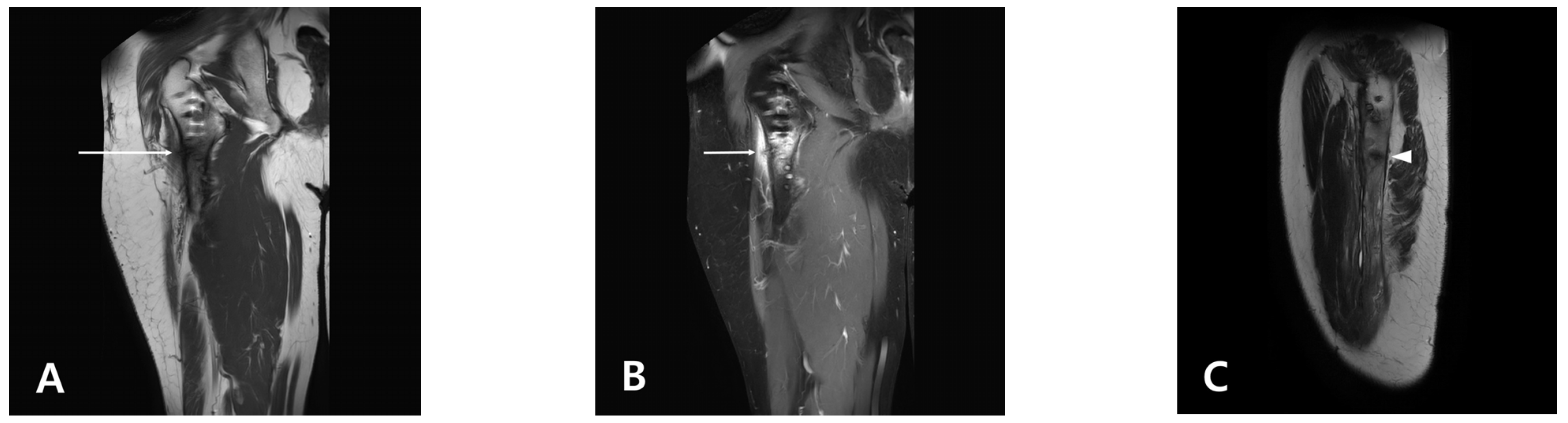 Medicina 58 00404 g001 550