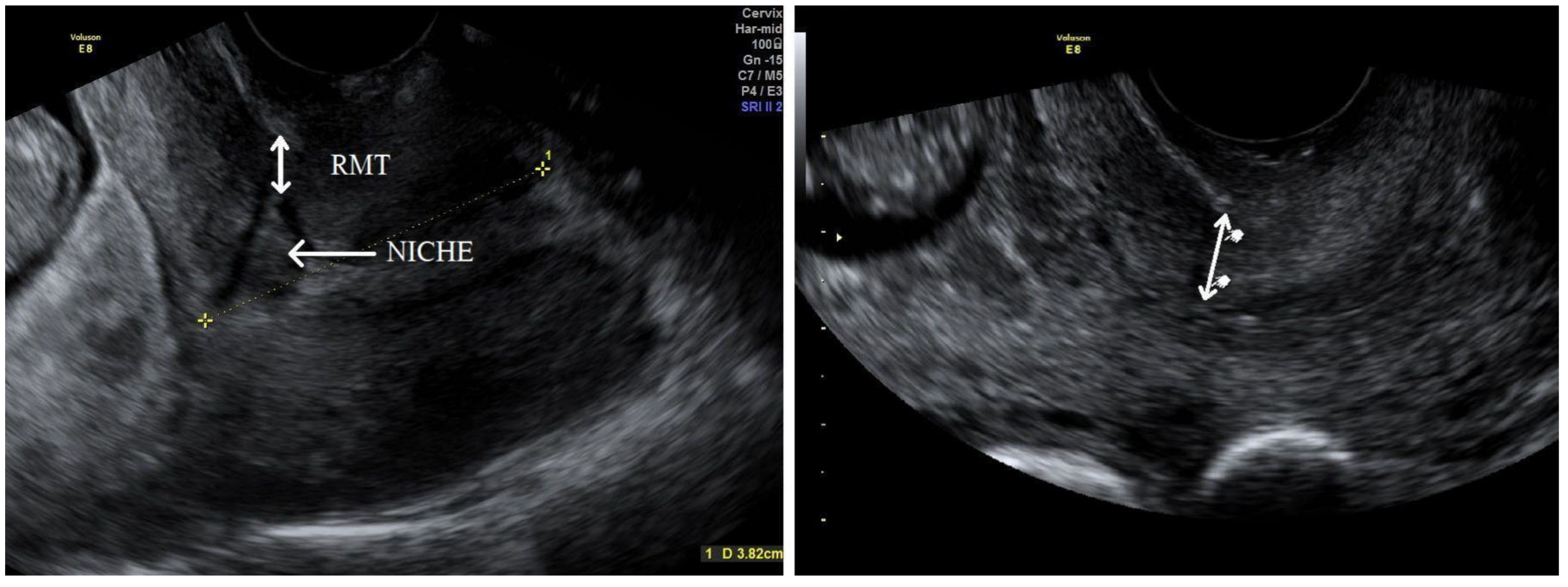 Medicina 58 00407 g001 550