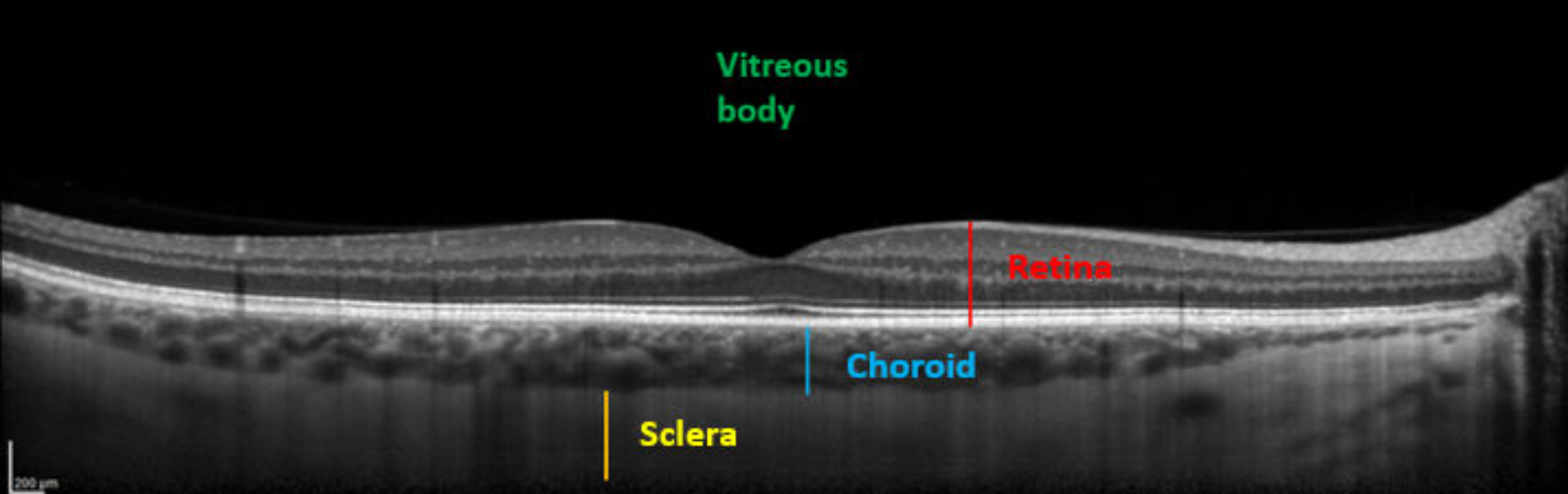 Medicina 58 00408 g003