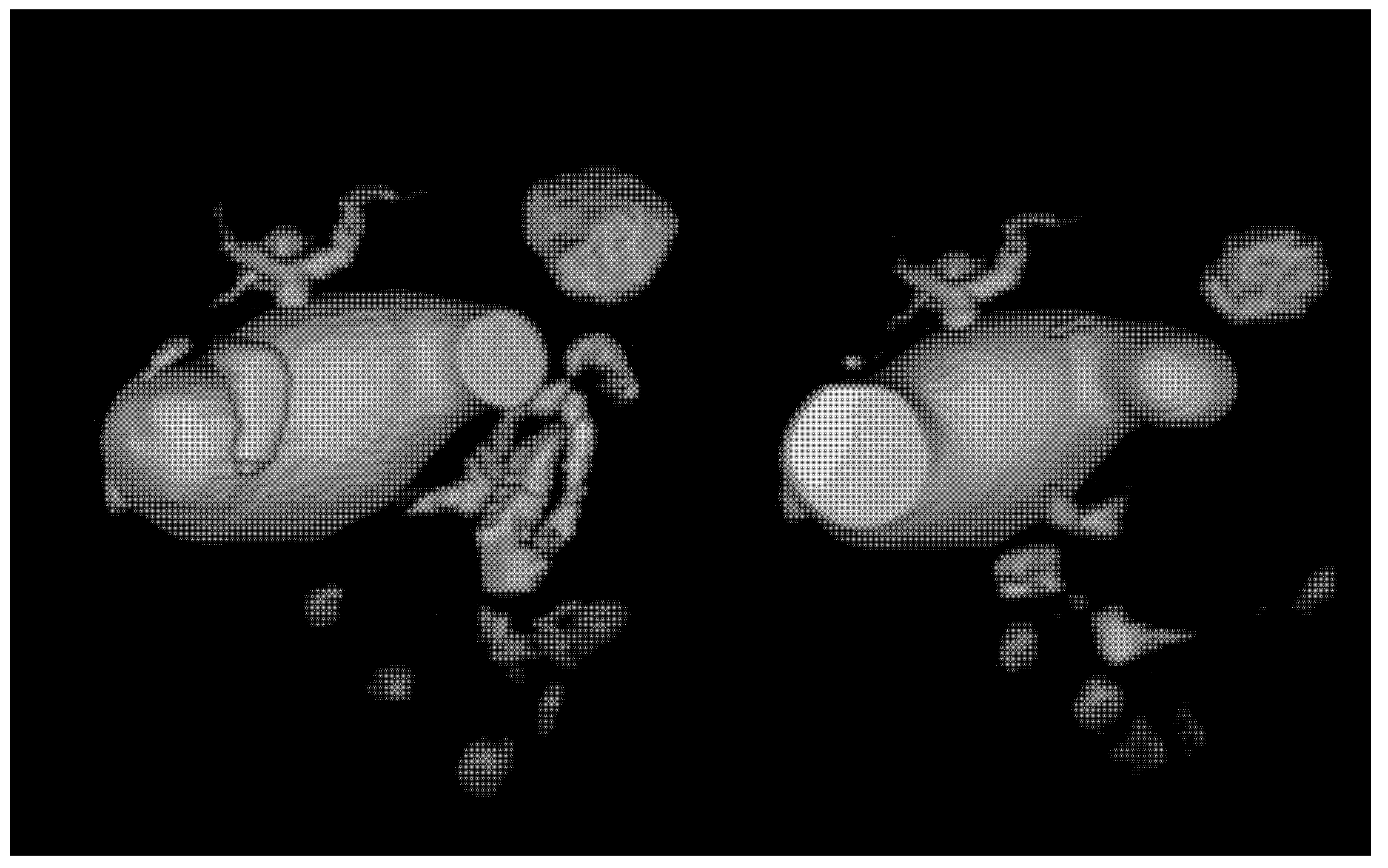 Medicina 58 00416 g003