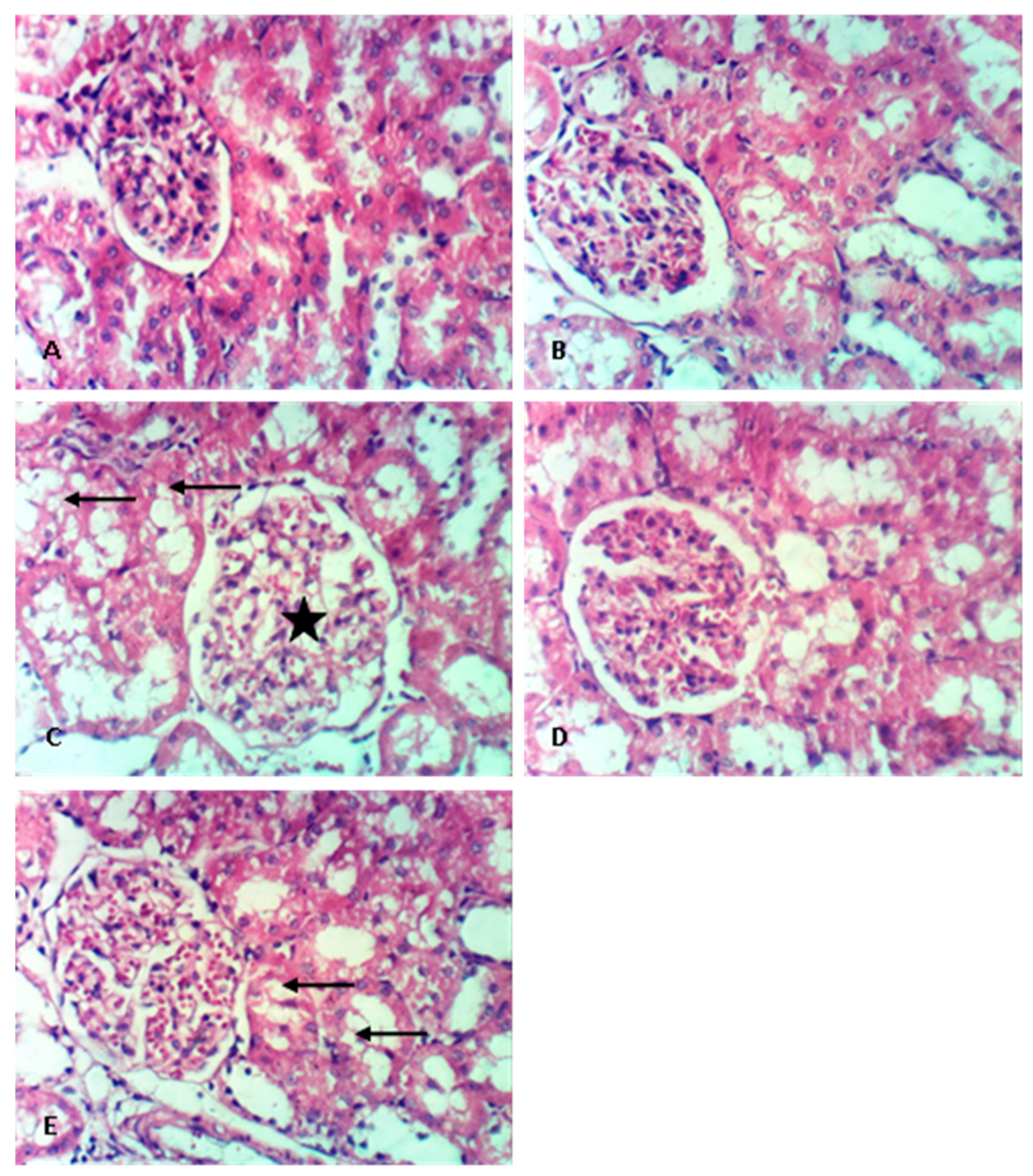 Medicina 58 00425 g001