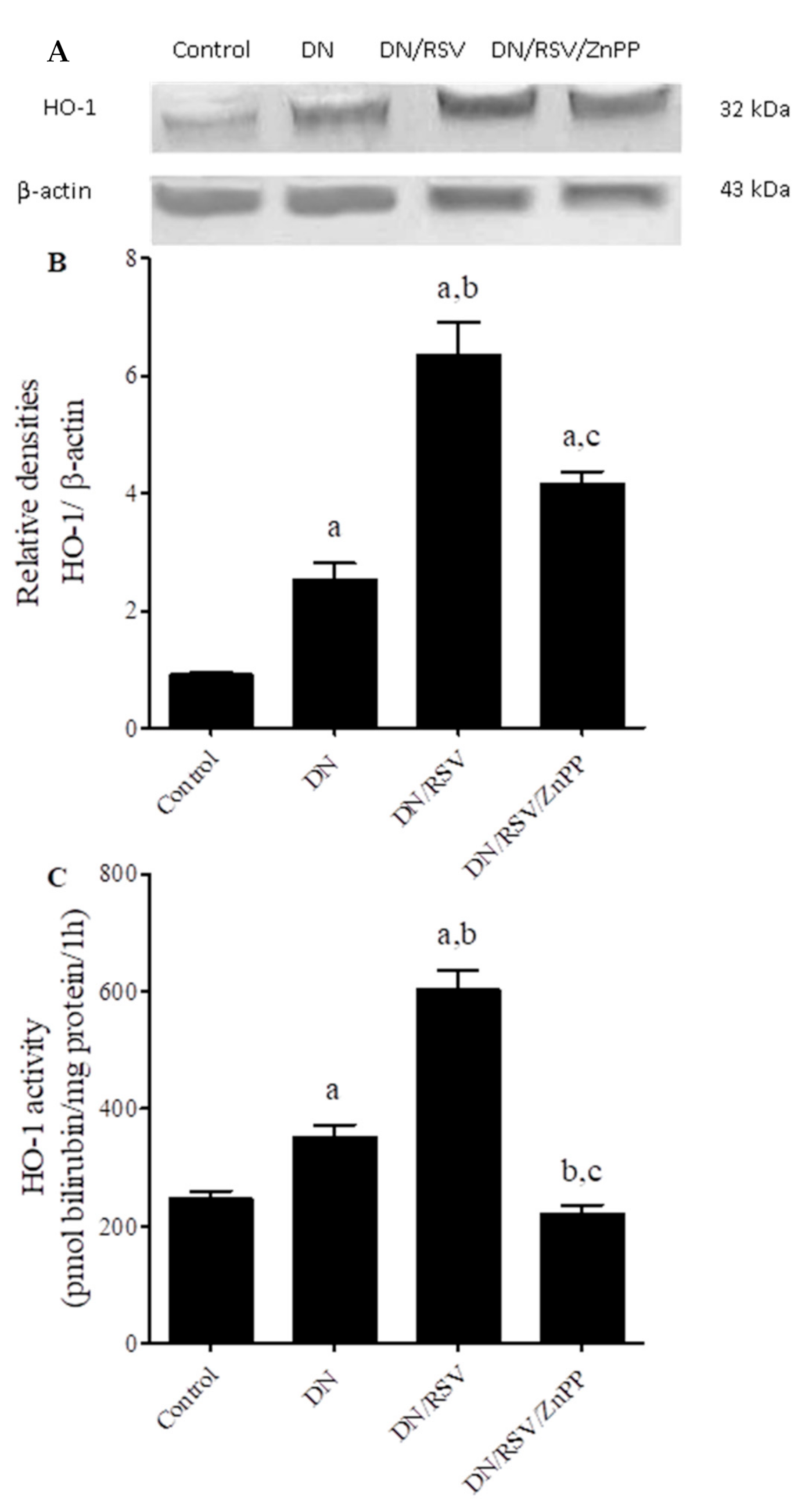 Medicina 58 00425 g002