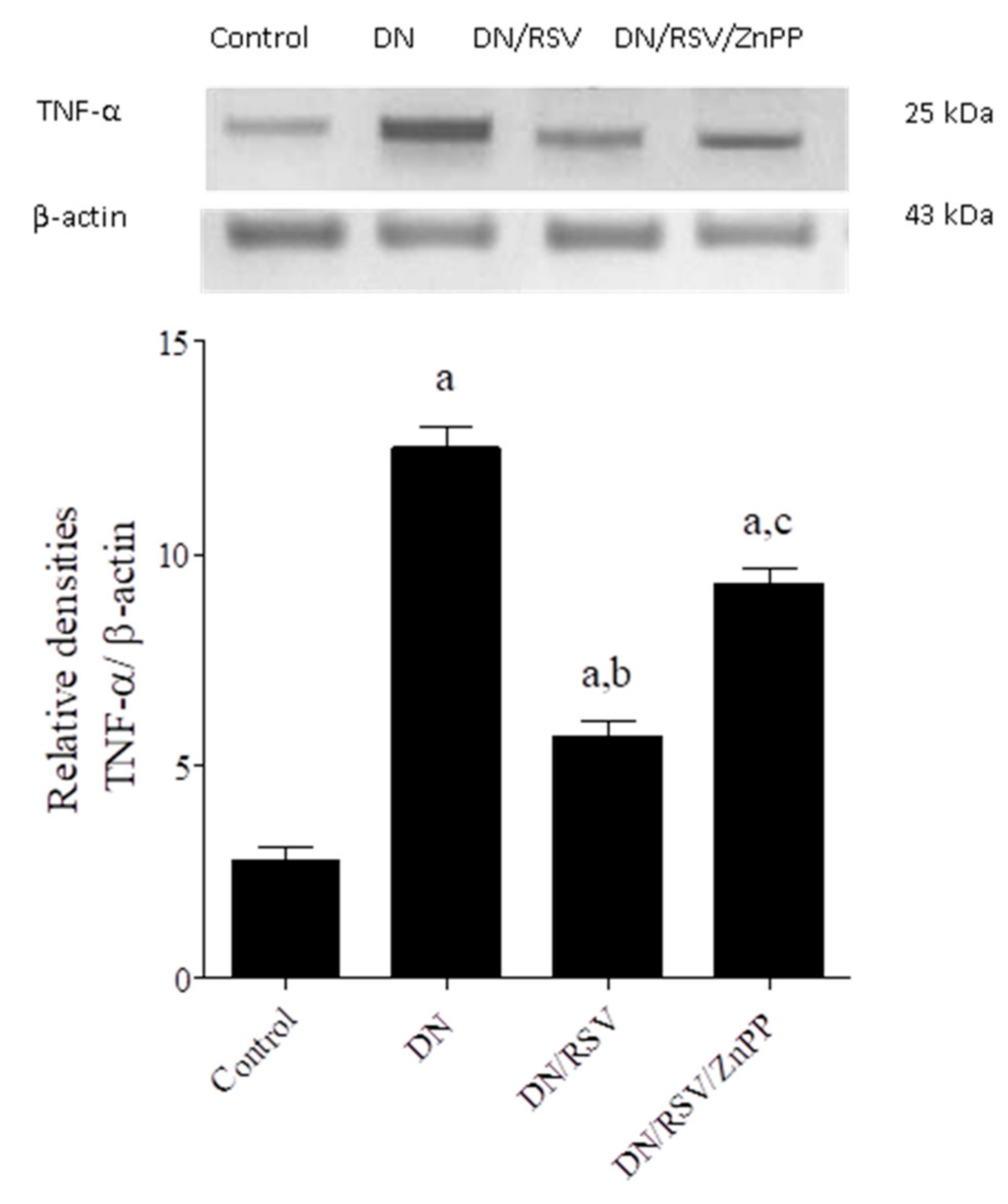 Medicina 58 00425 g003