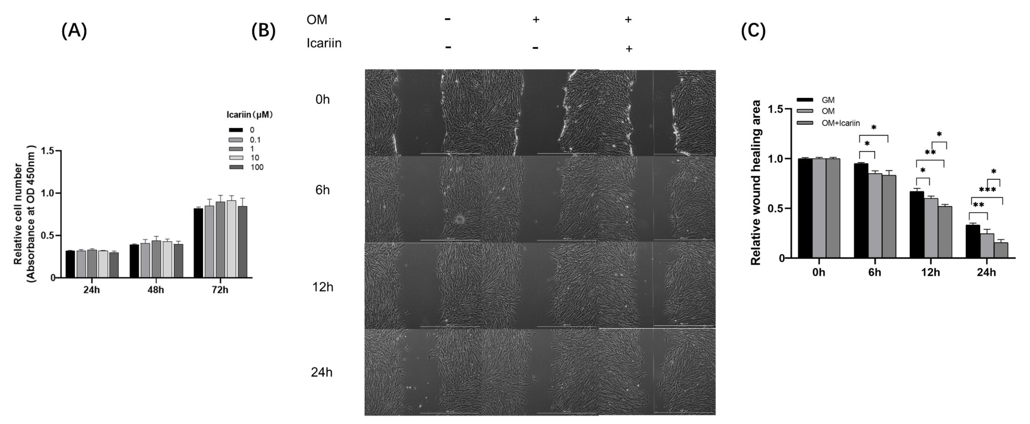 Medicina 58 00434 g001 550