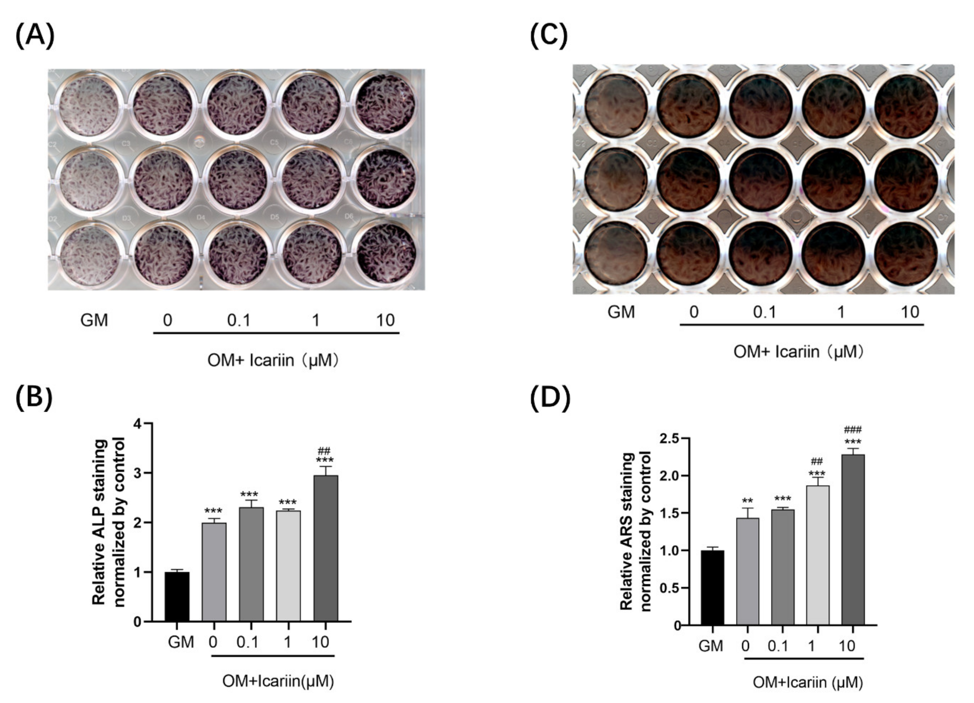 Medicina 58 00434 g002 550