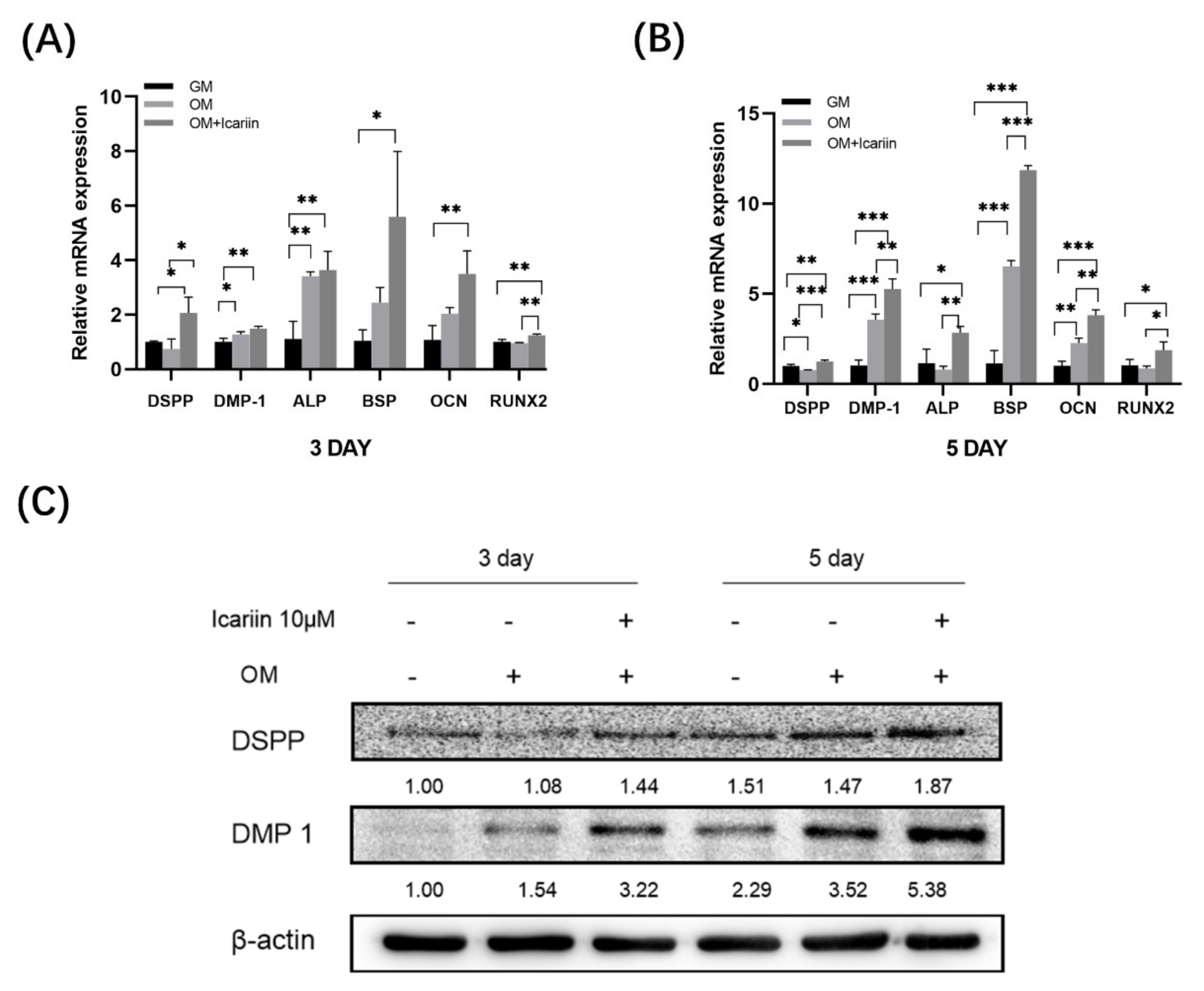 Medicina 58 00434 g003 550