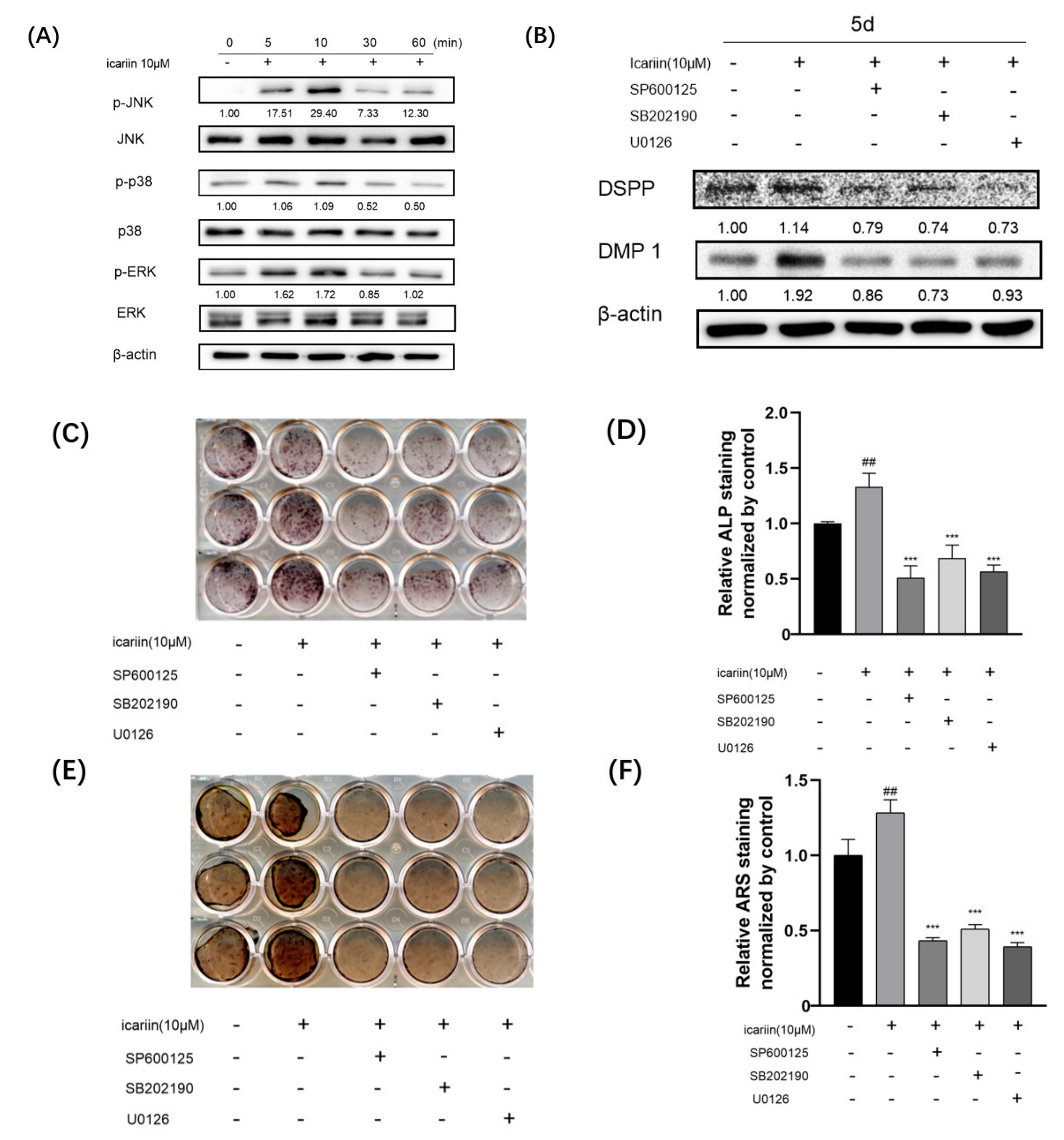 Medicina 58 00434 g004 550