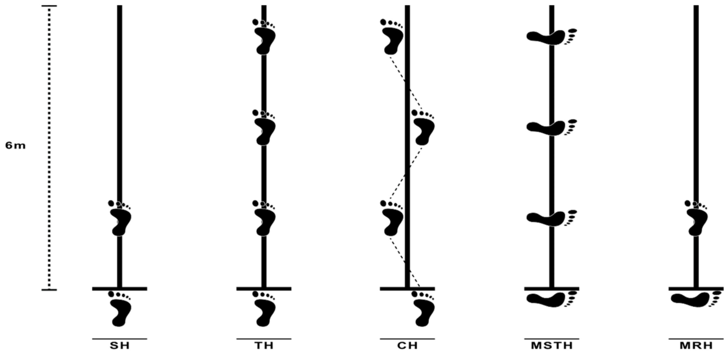 Medicina Free FullText PostOperative Results of ACL Medicina Free FullText PostOperative Results of ACL