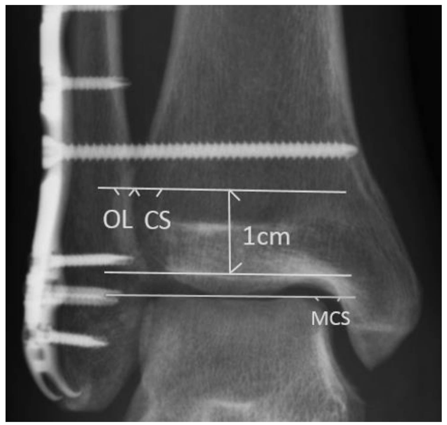 Medicina 58 00445 g001 550