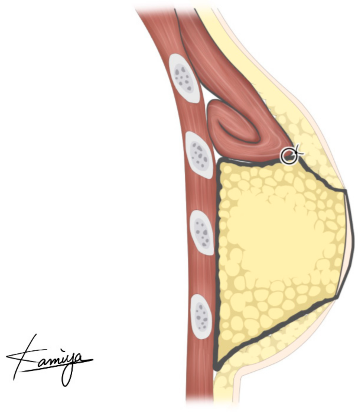 Medicina 58 00458 g001