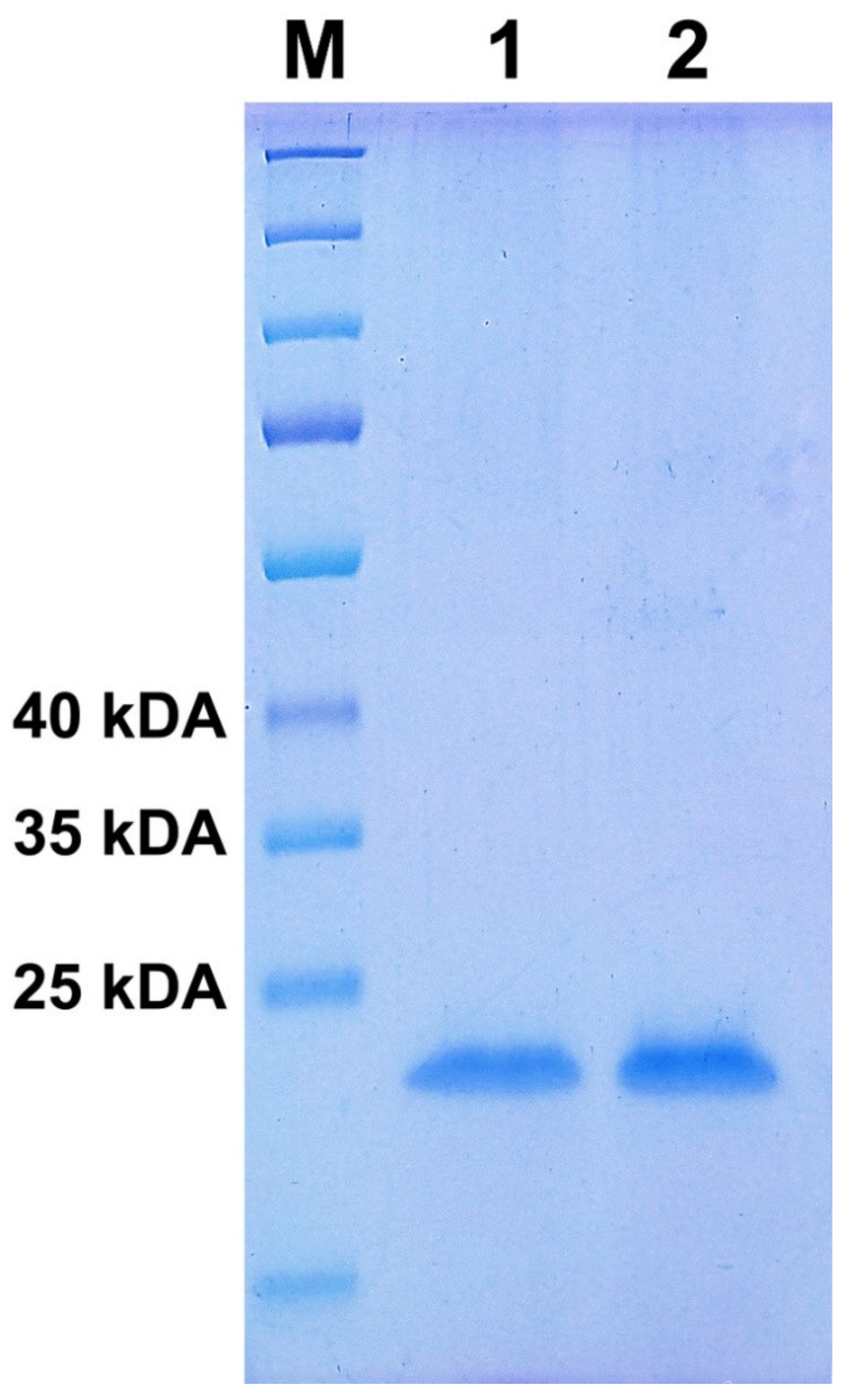 Medicina 58 00463 g001 550