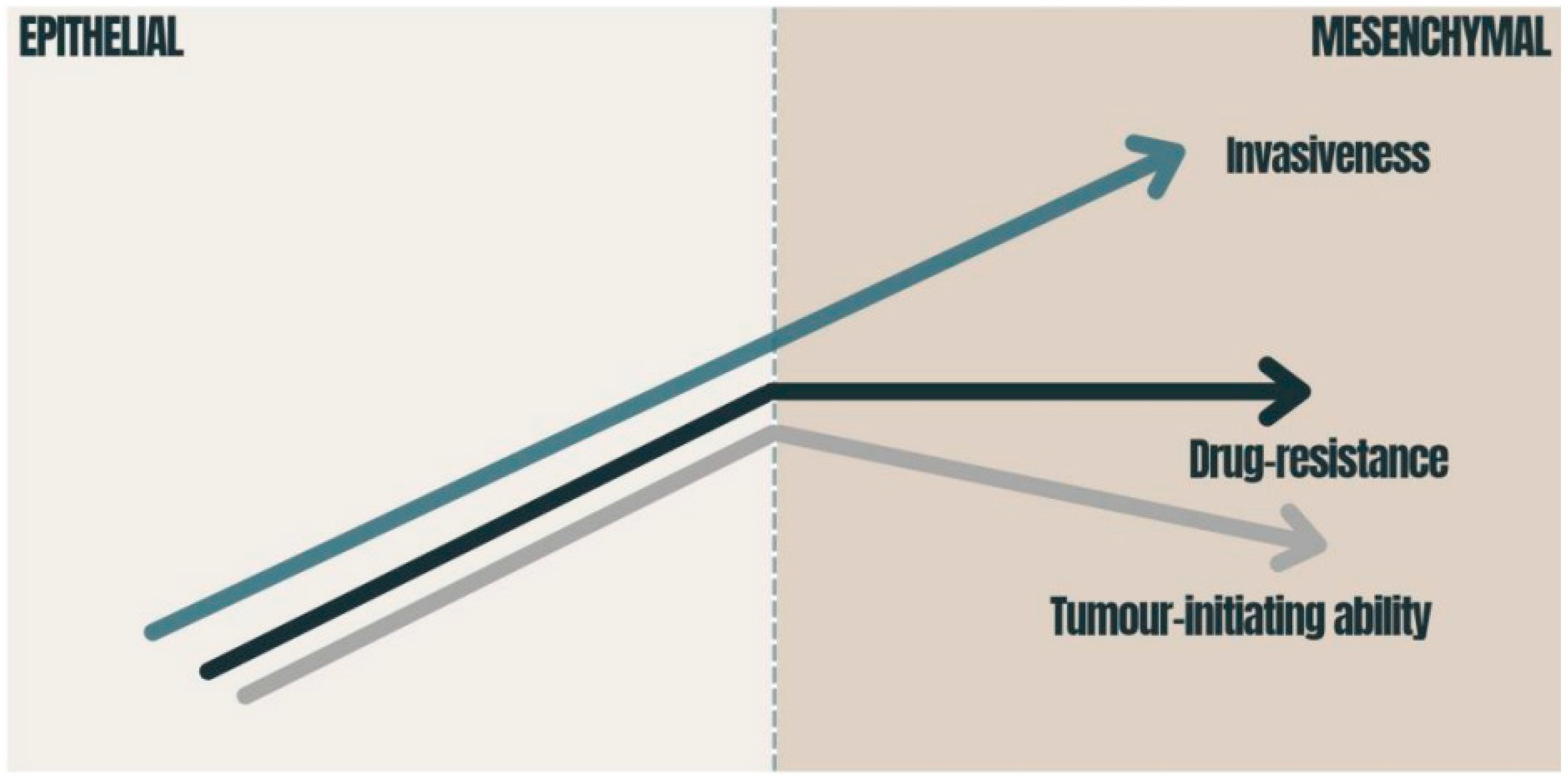 Medicina 58 00467 g002