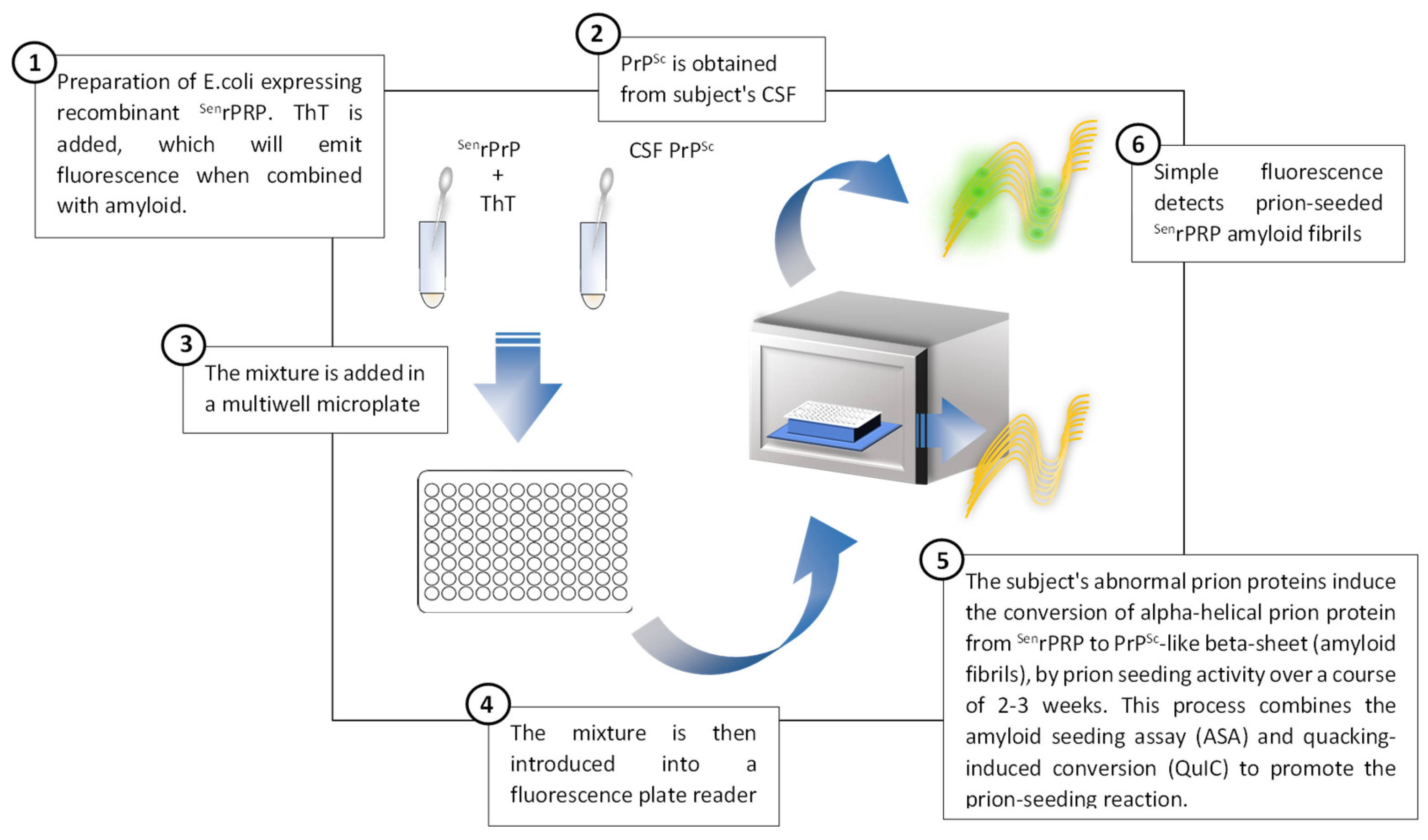 Medicina 58 00473 g004 Medicina 58 00473 g004