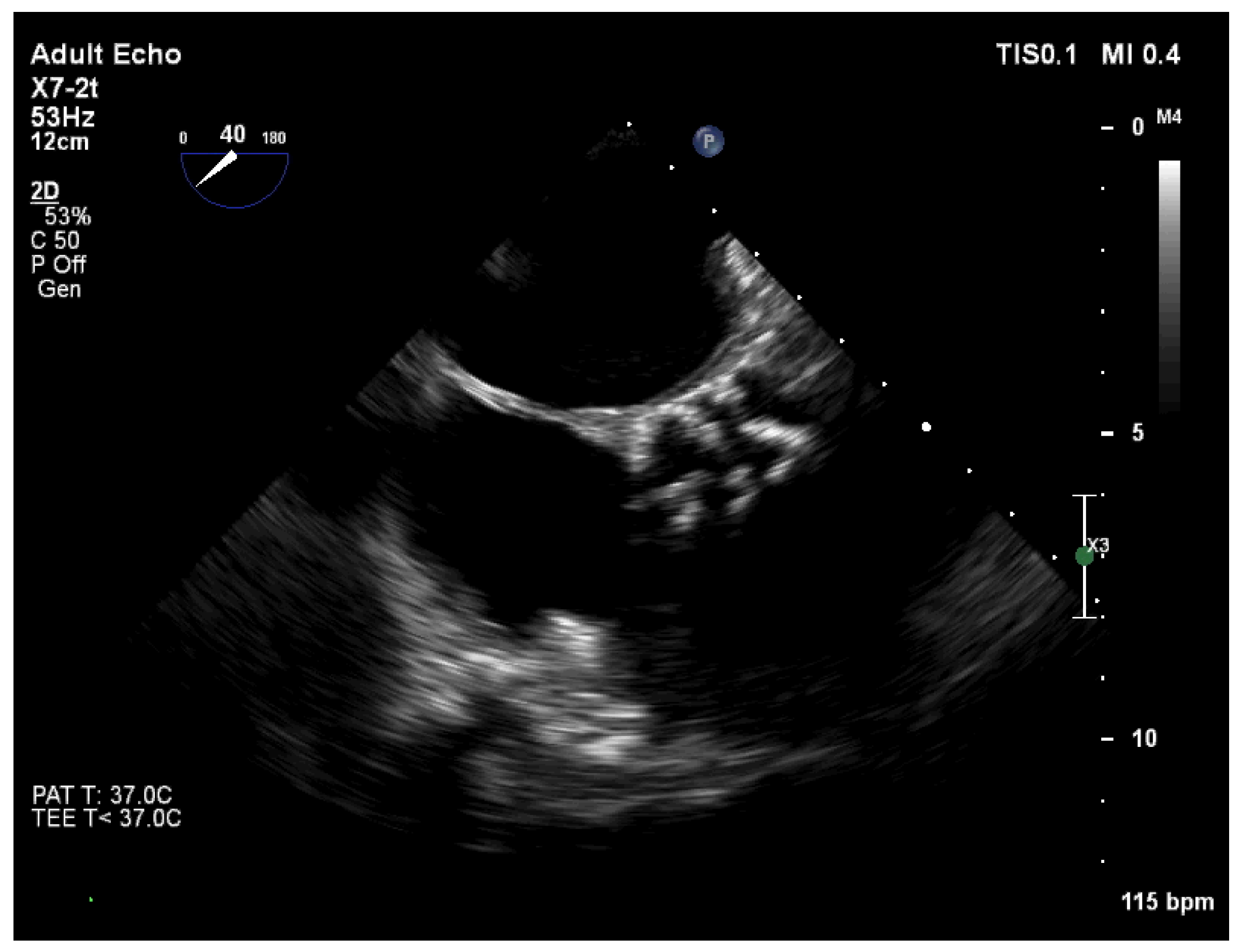 Medicina 58 00489 g003
