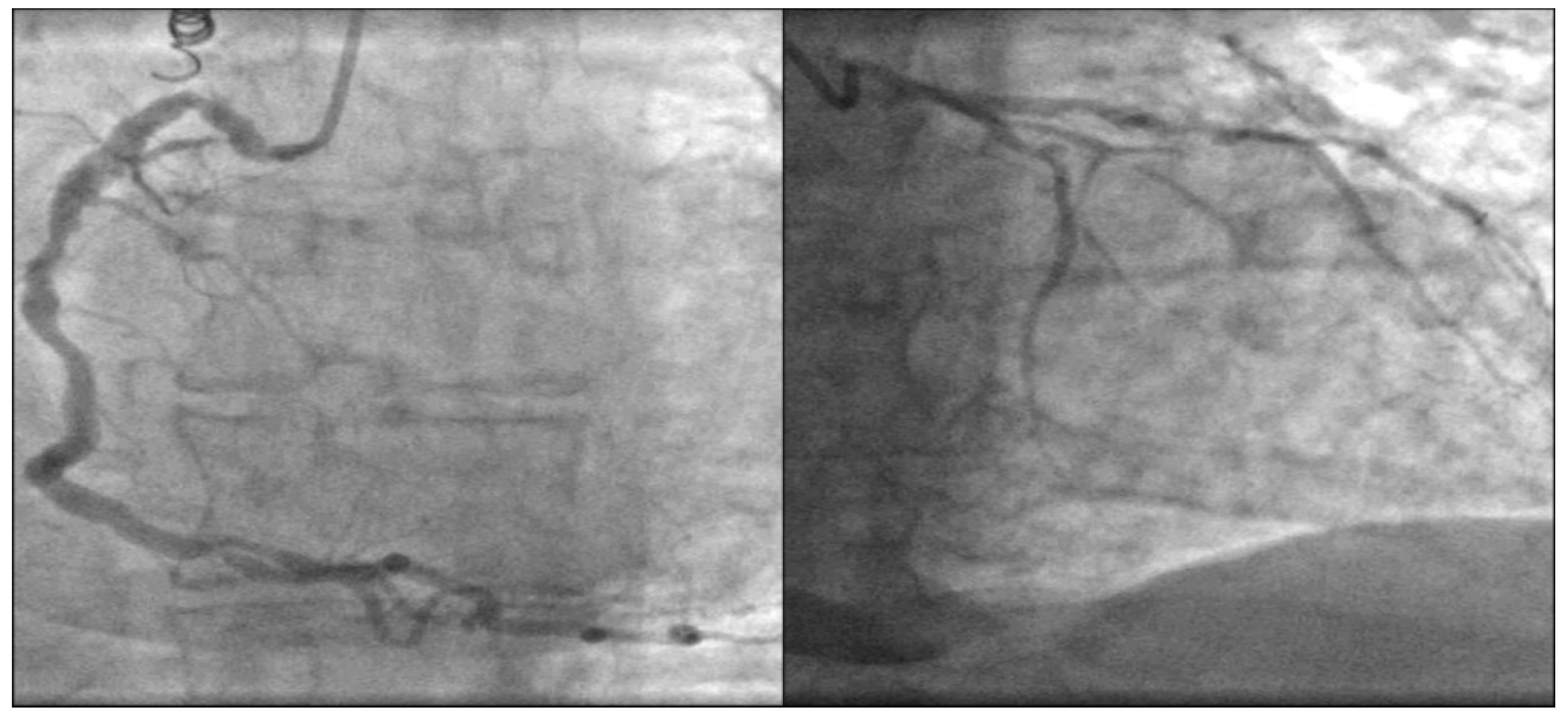 Medicina 58 00489 g004