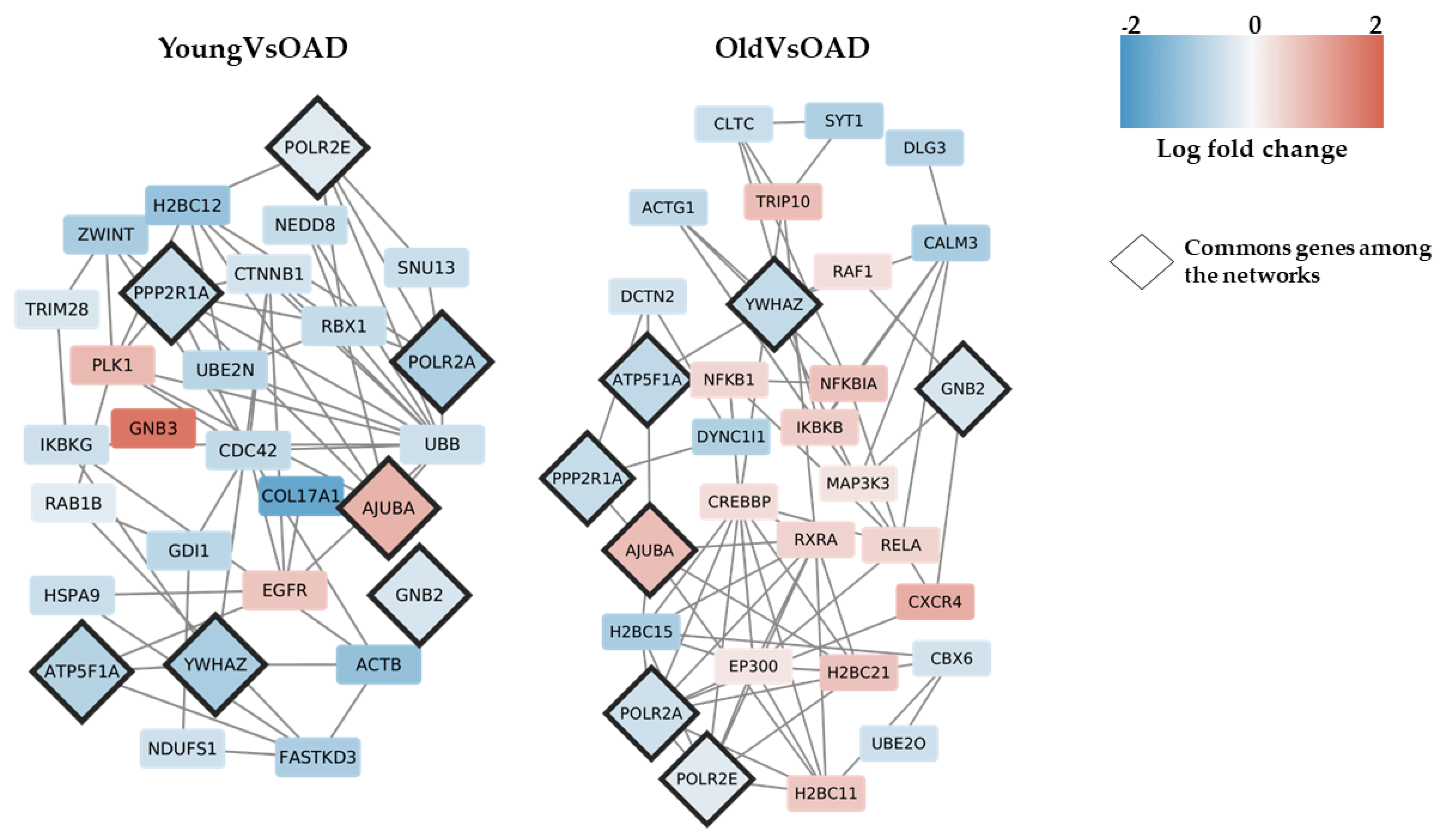 Medicina 58 00493 g002