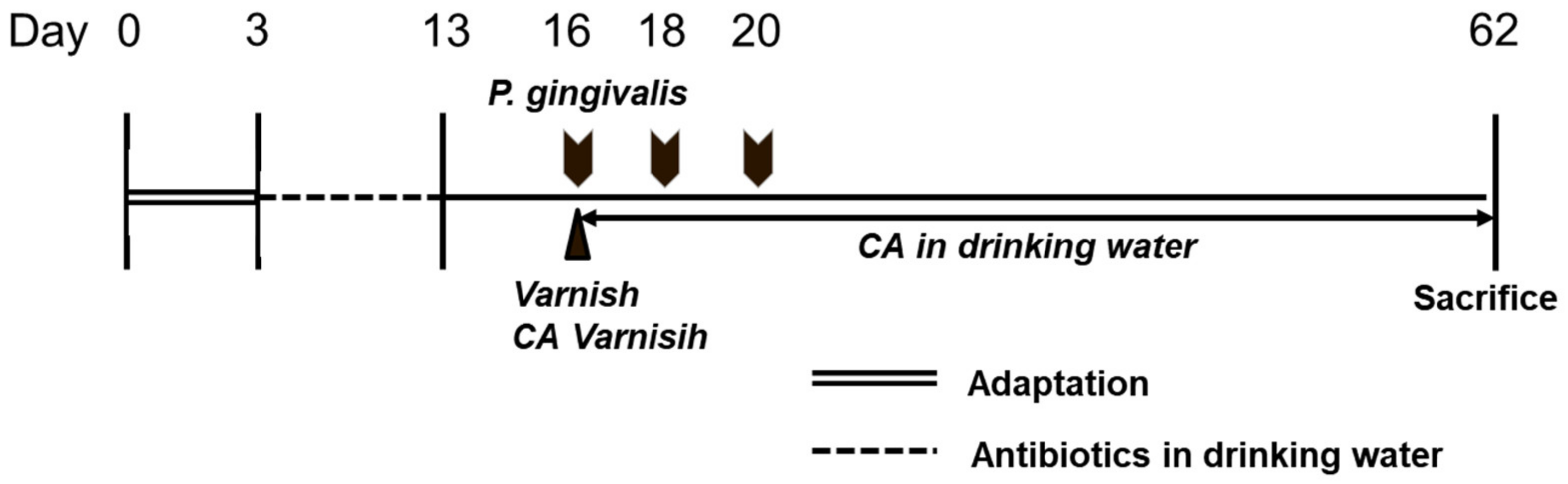 Medicina 58 00506 g001