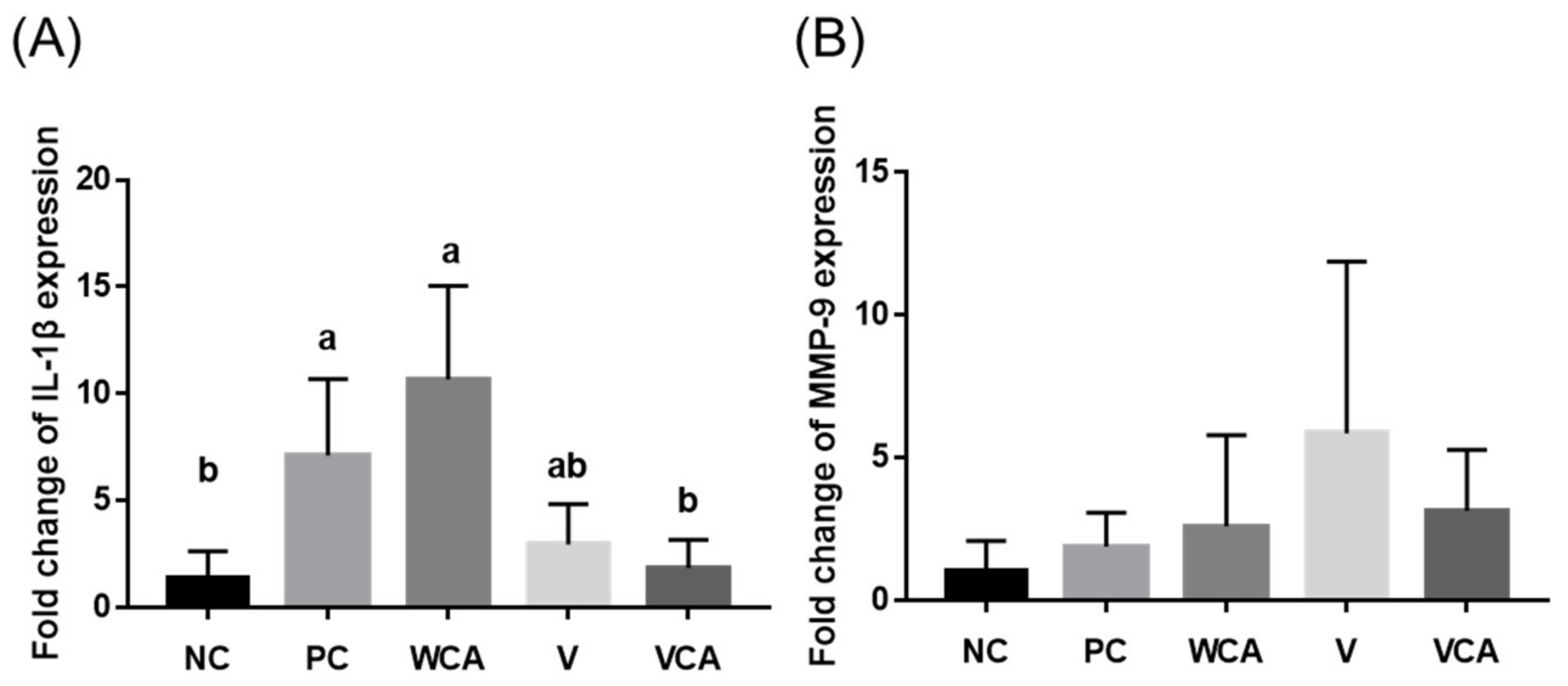 Medicina 58 00506 g006