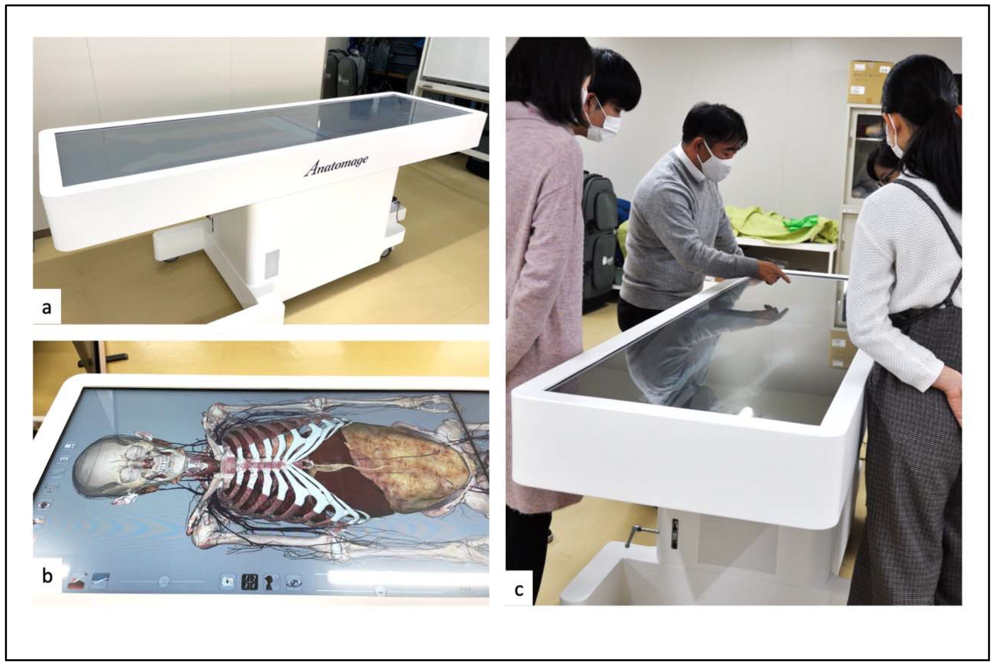 Medicina 58 00508 g001 550