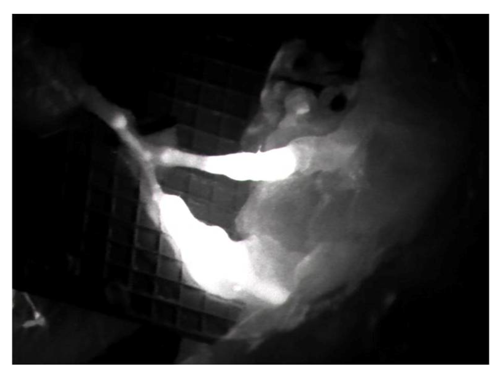 Medicina 58 00509 g002