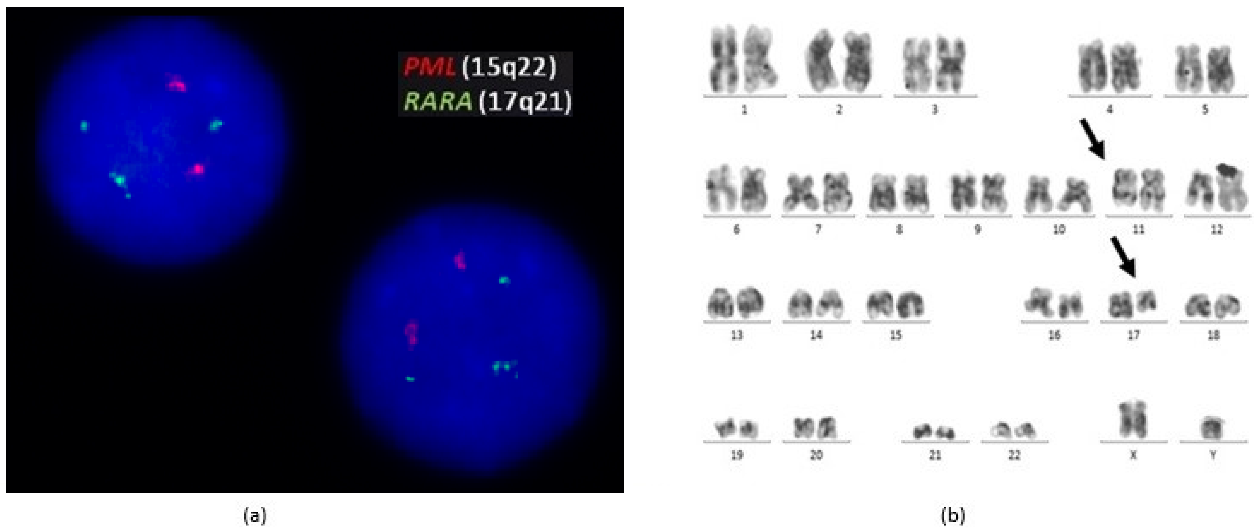 Medicina 58 00520 g002 550