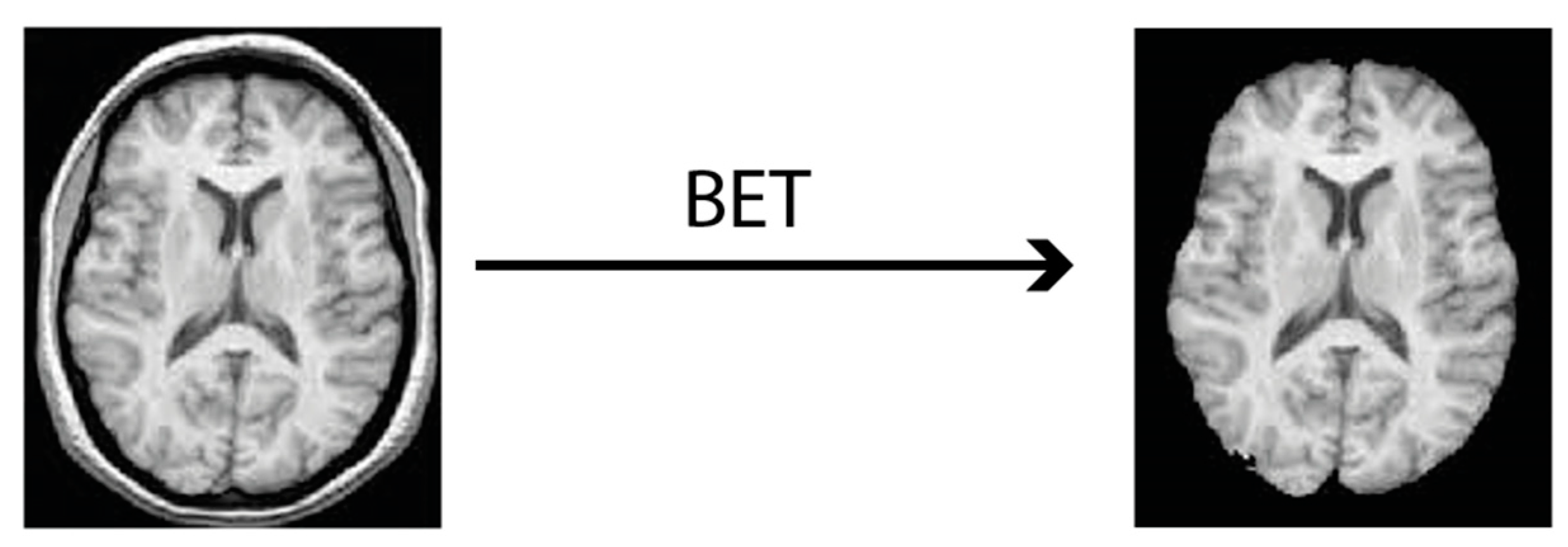 Medicina 58 00526 g002