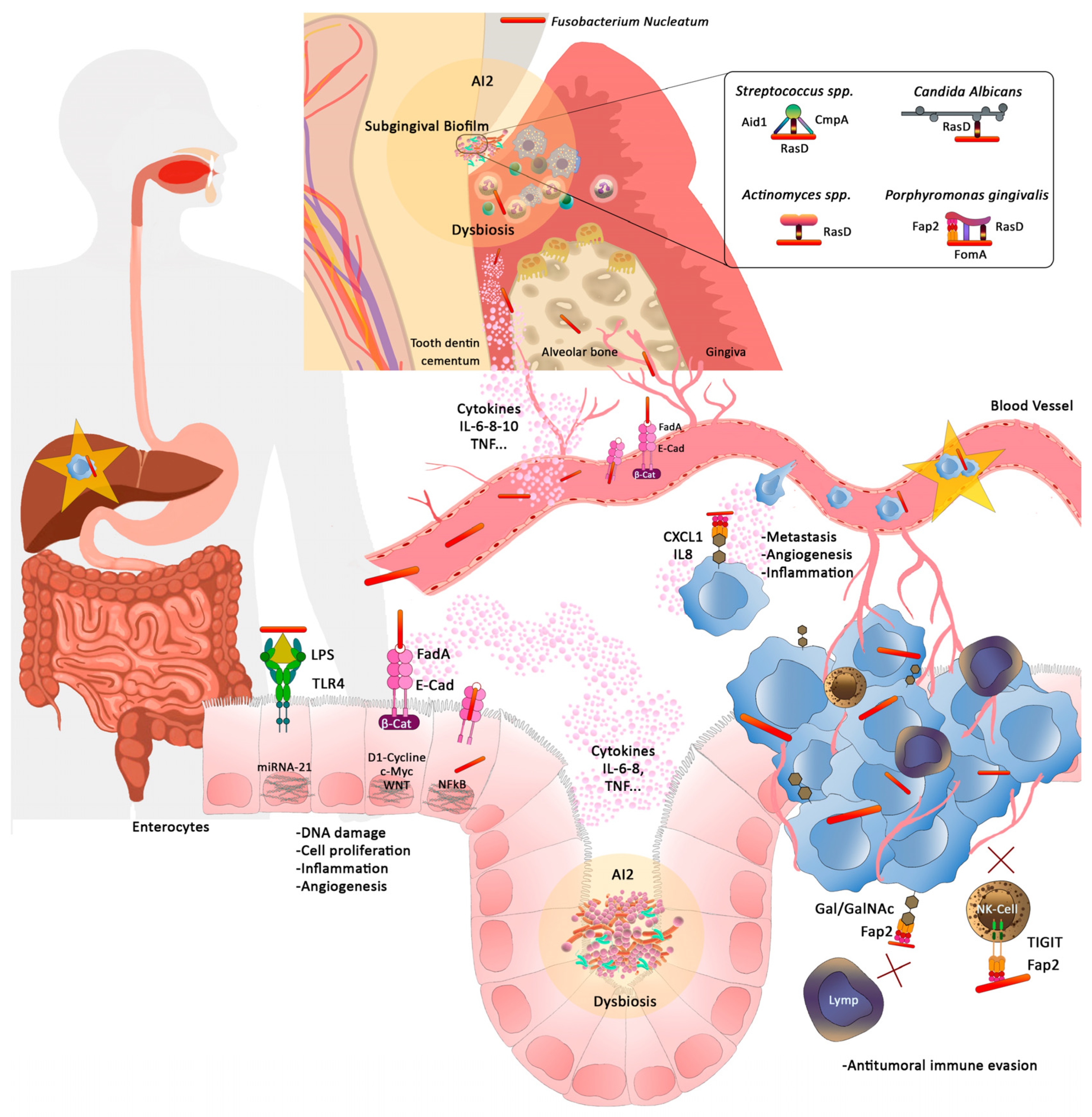 Medicina 58 00546 g002 550