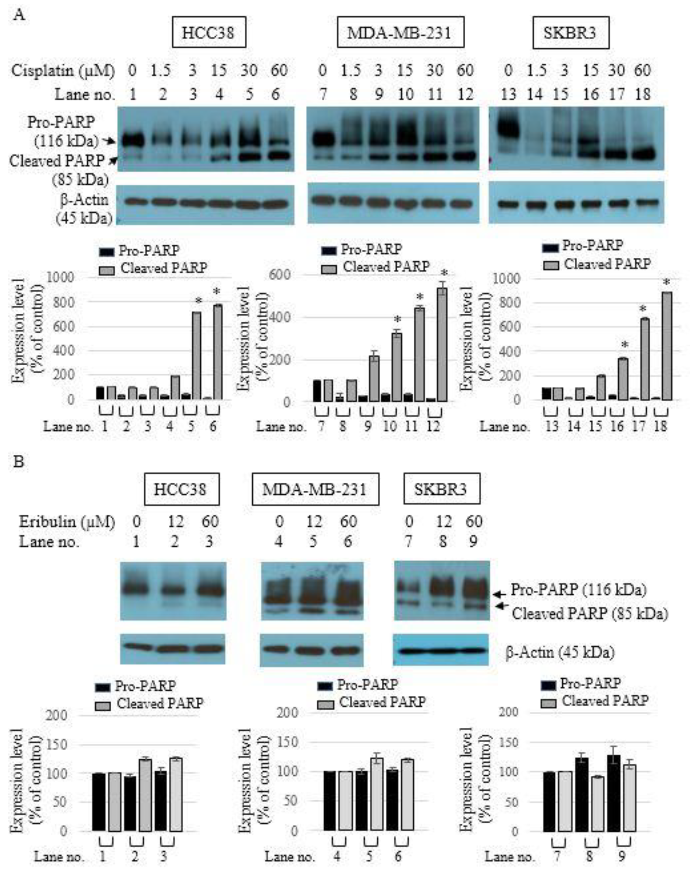Medicina 58 00547 g002