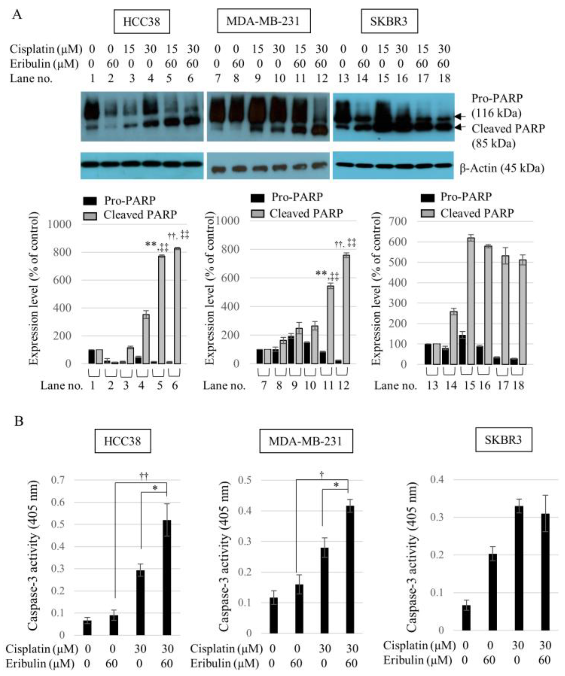 Medicina 58 00547 g004