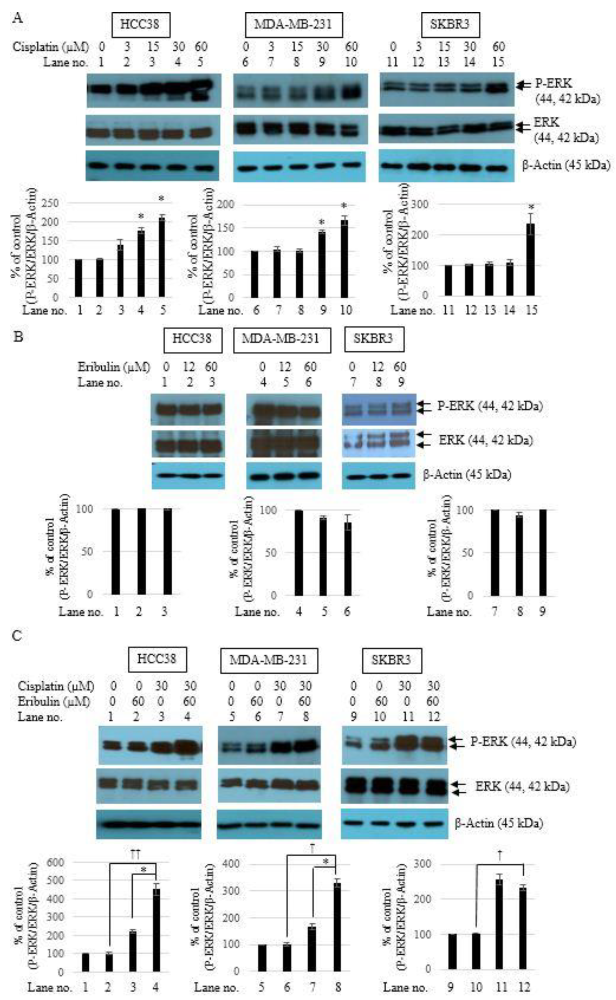 Medicina 58 00547 g005
