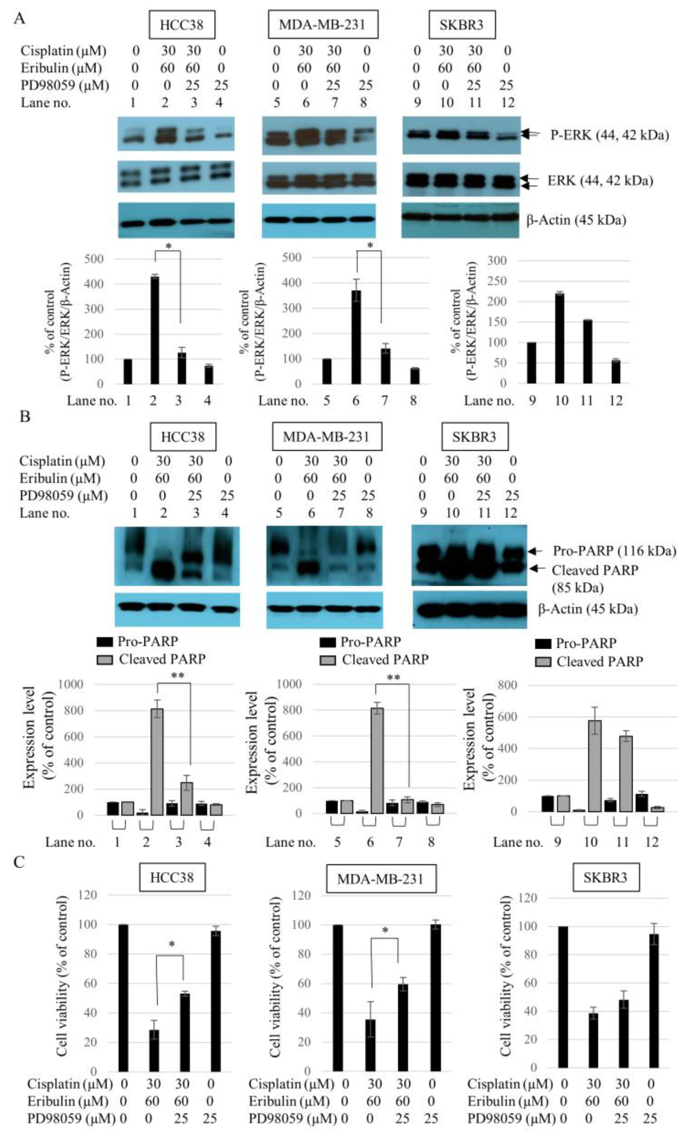 Medicina 58 00547 g006