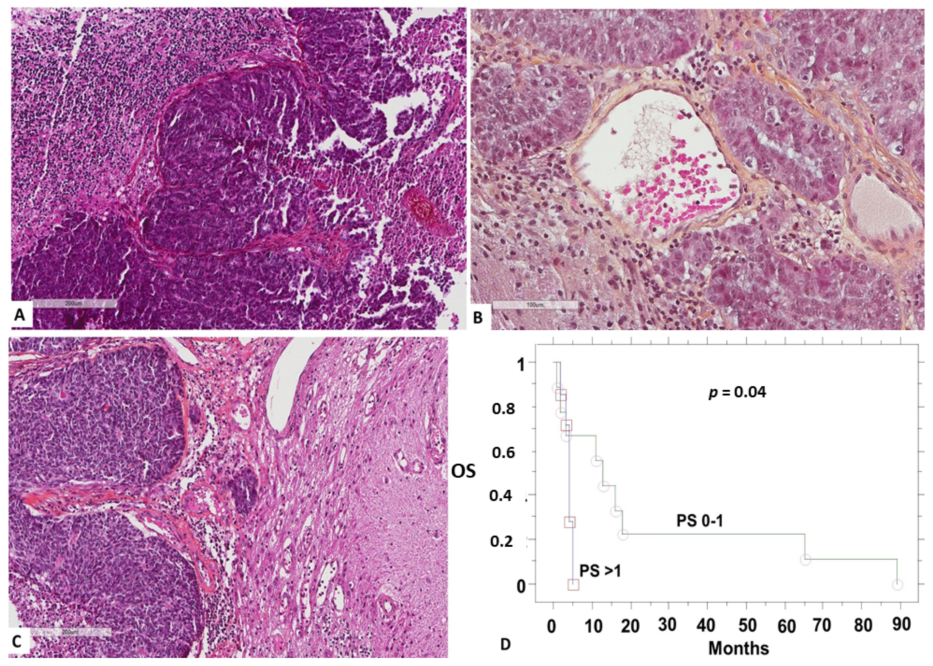 Medicina 58 00548 g001 550