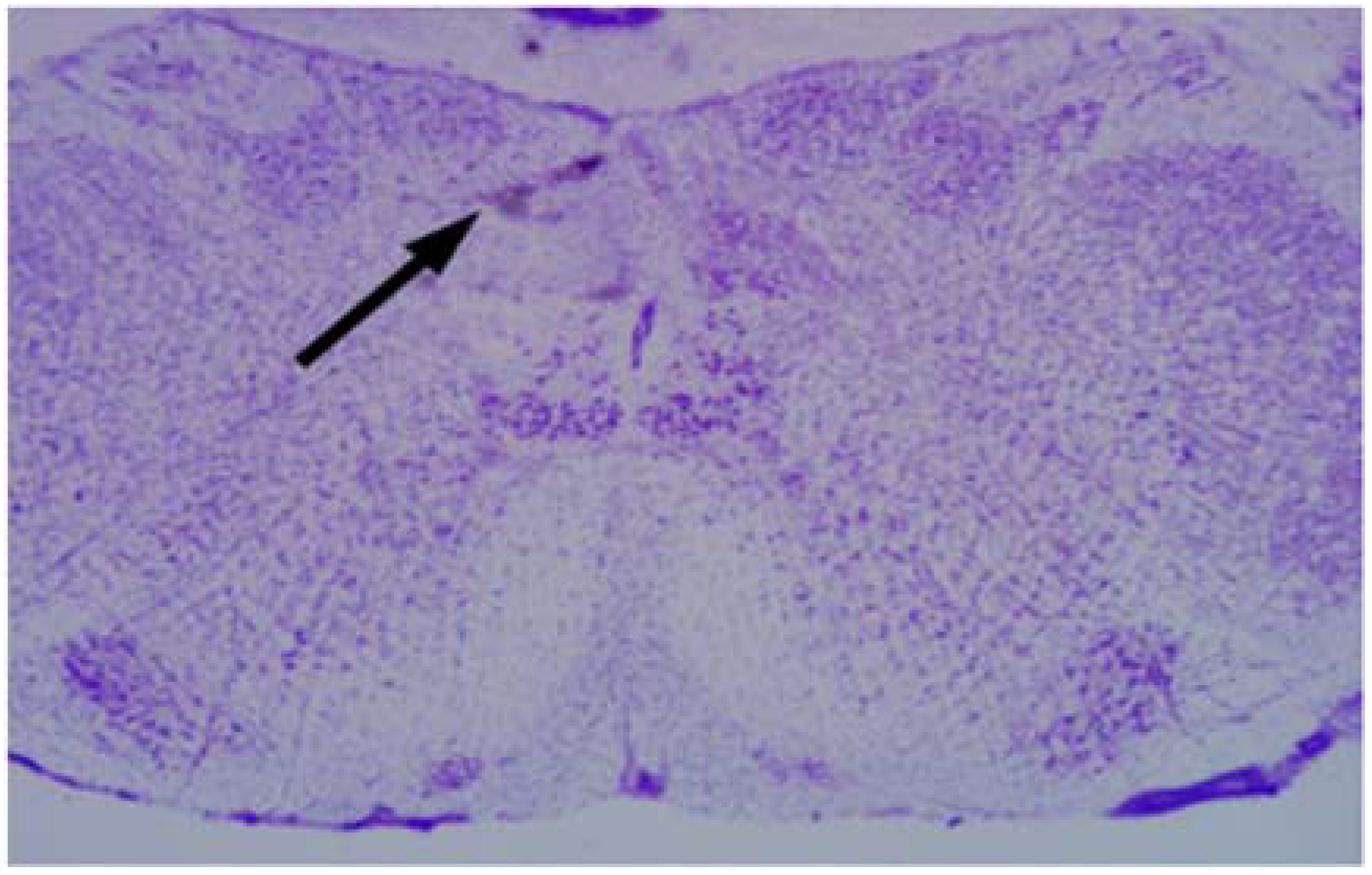 Medicina 58 00550 g001