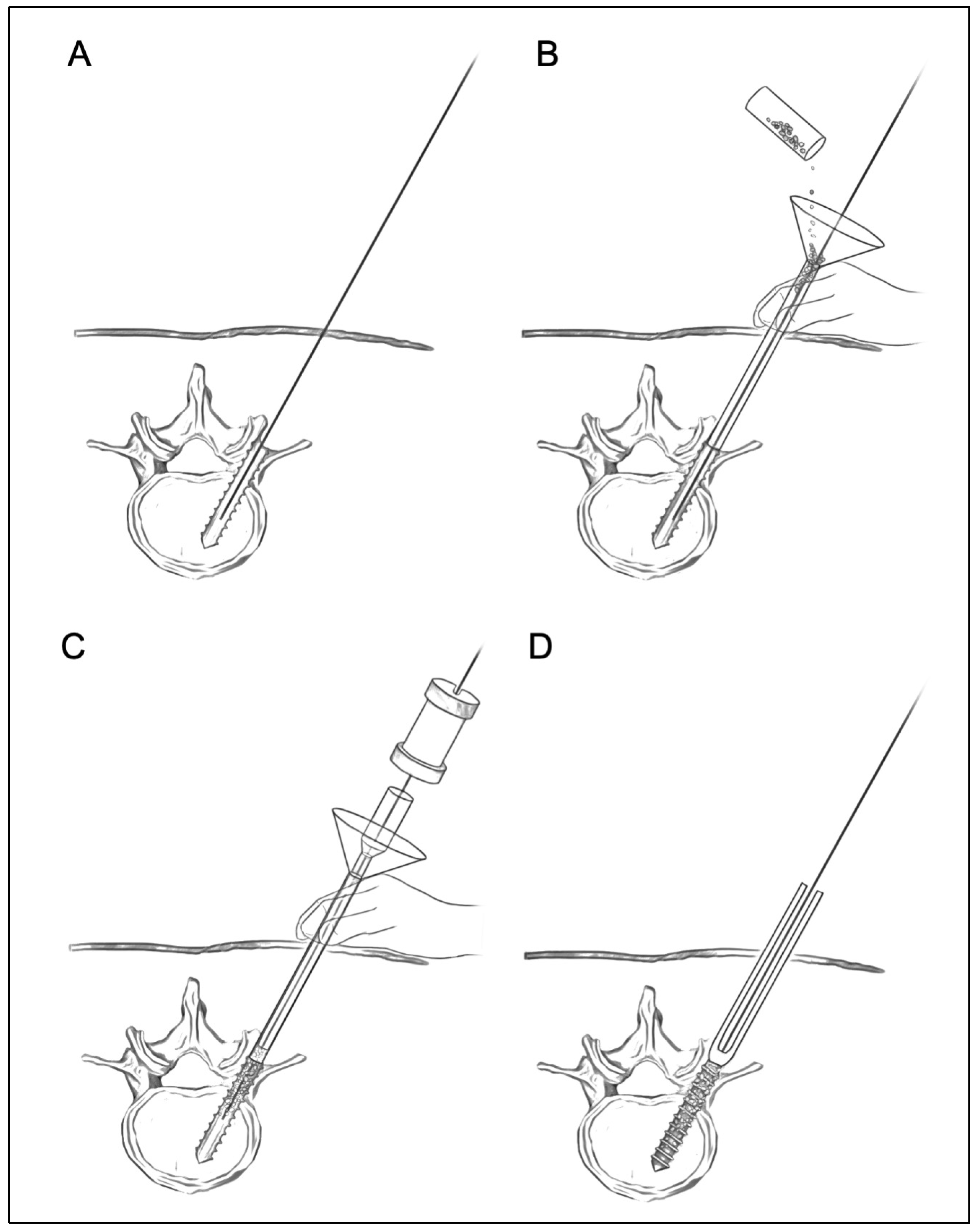 Medicina 58 00579 g002 Medicina 58 00579 g002
