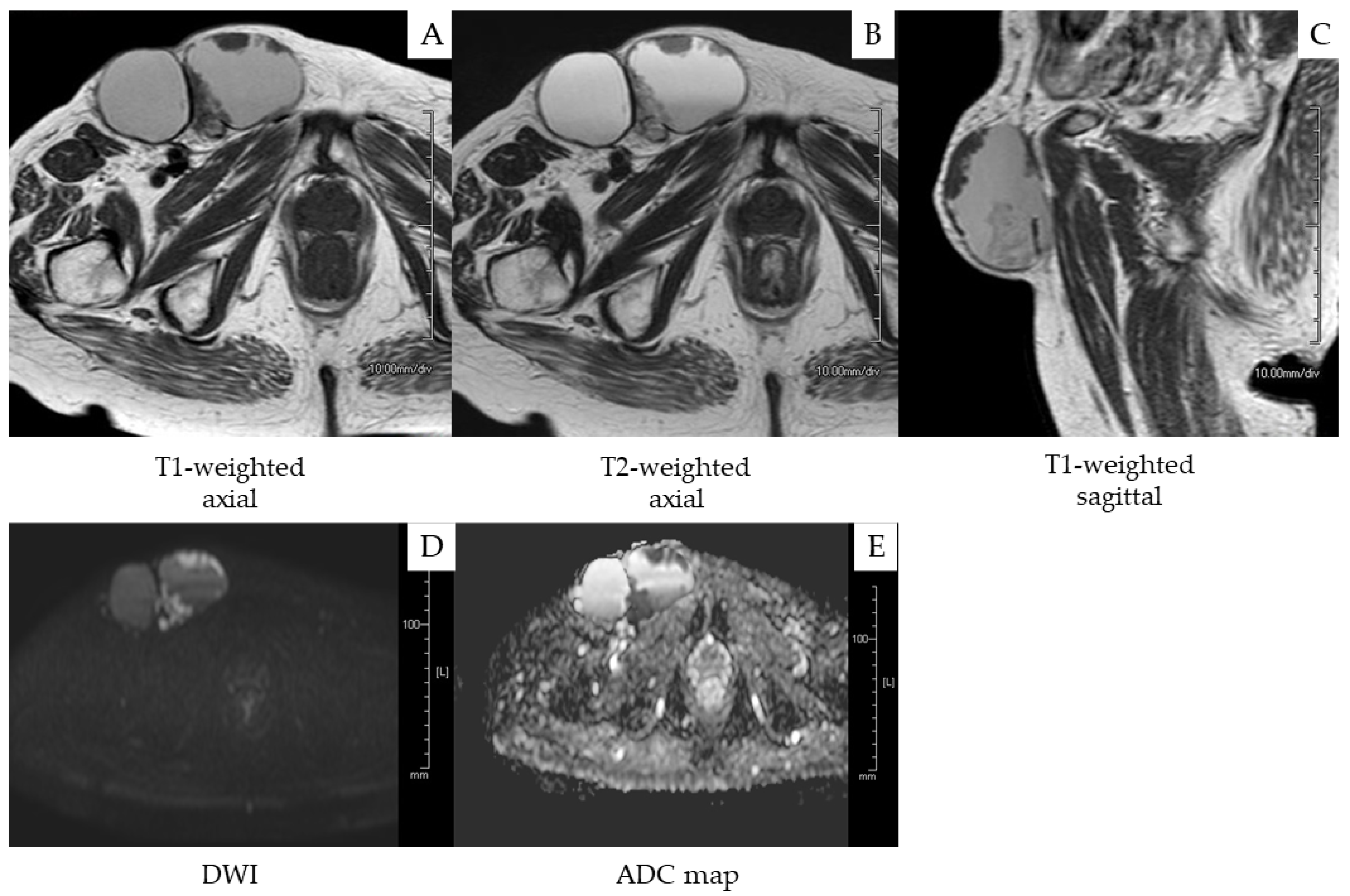 Medicina 58 00581 g001 550