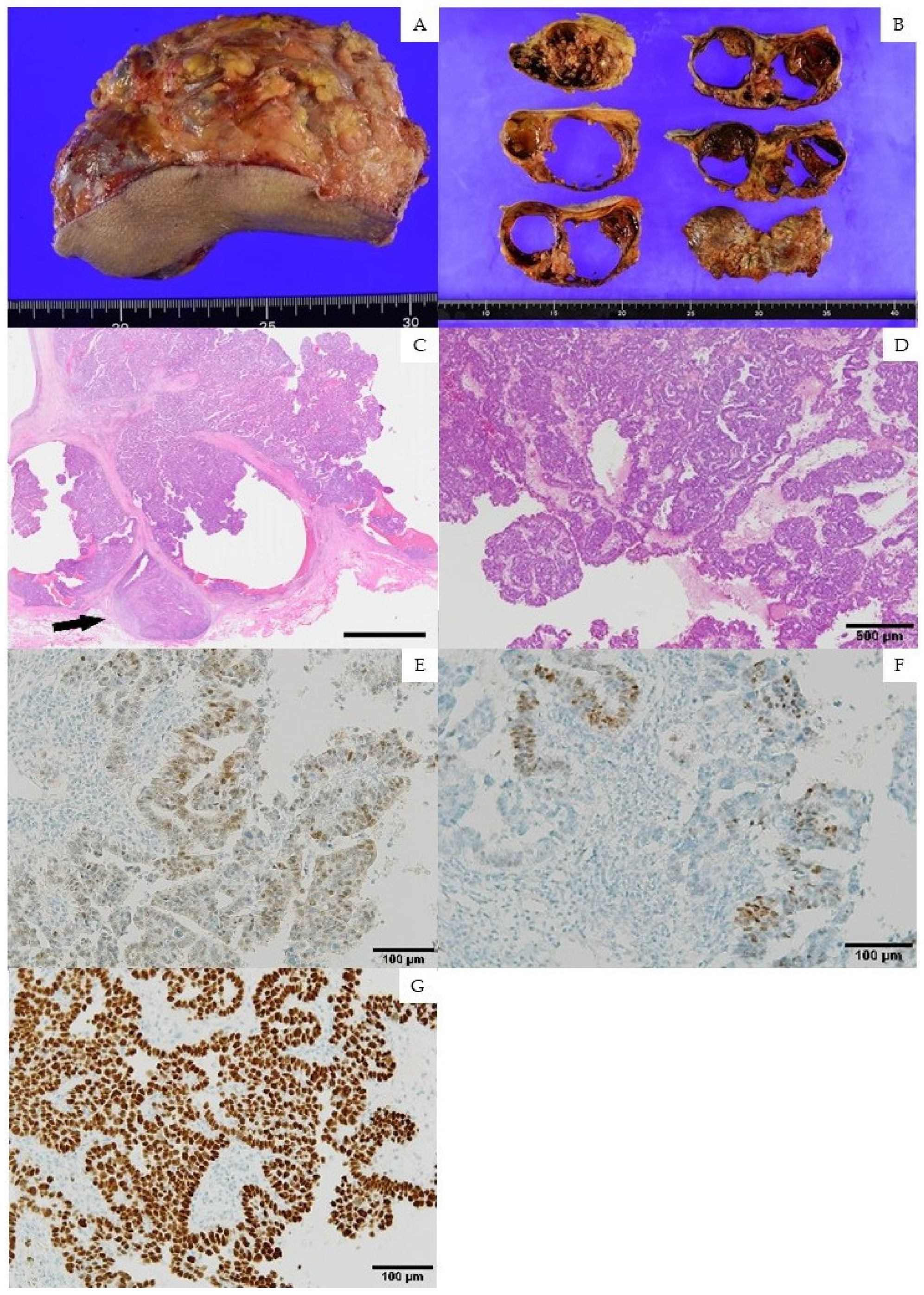 Medicina 58 00581 g002 550