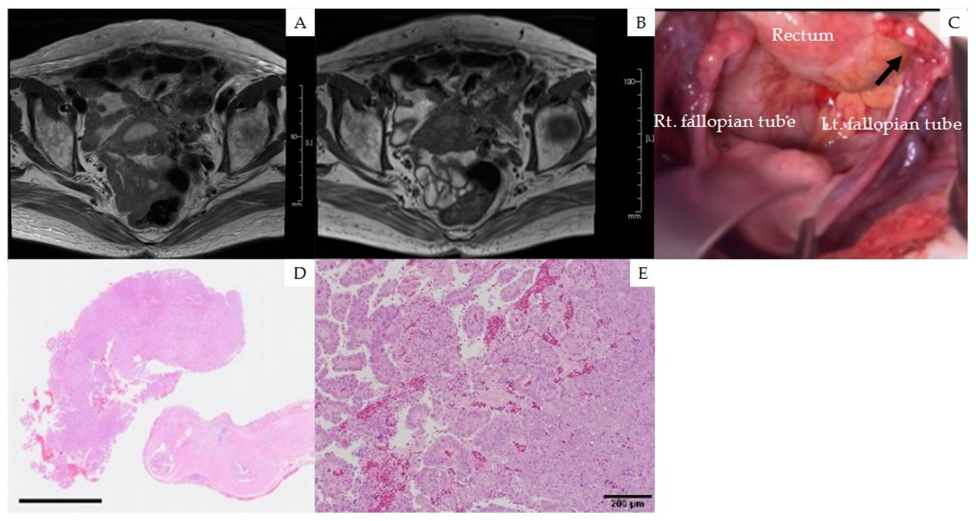 Medicina 58 00581 g003 550